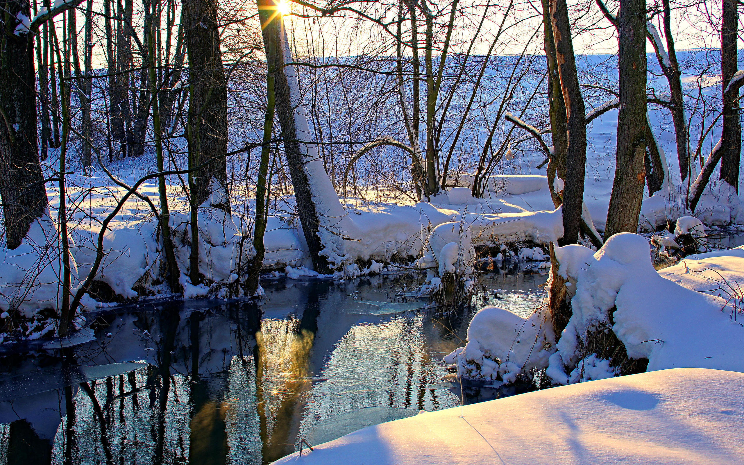 Téléchargez gratuitement l'image Hiver, Terre/nature sur le bureau de votre PC