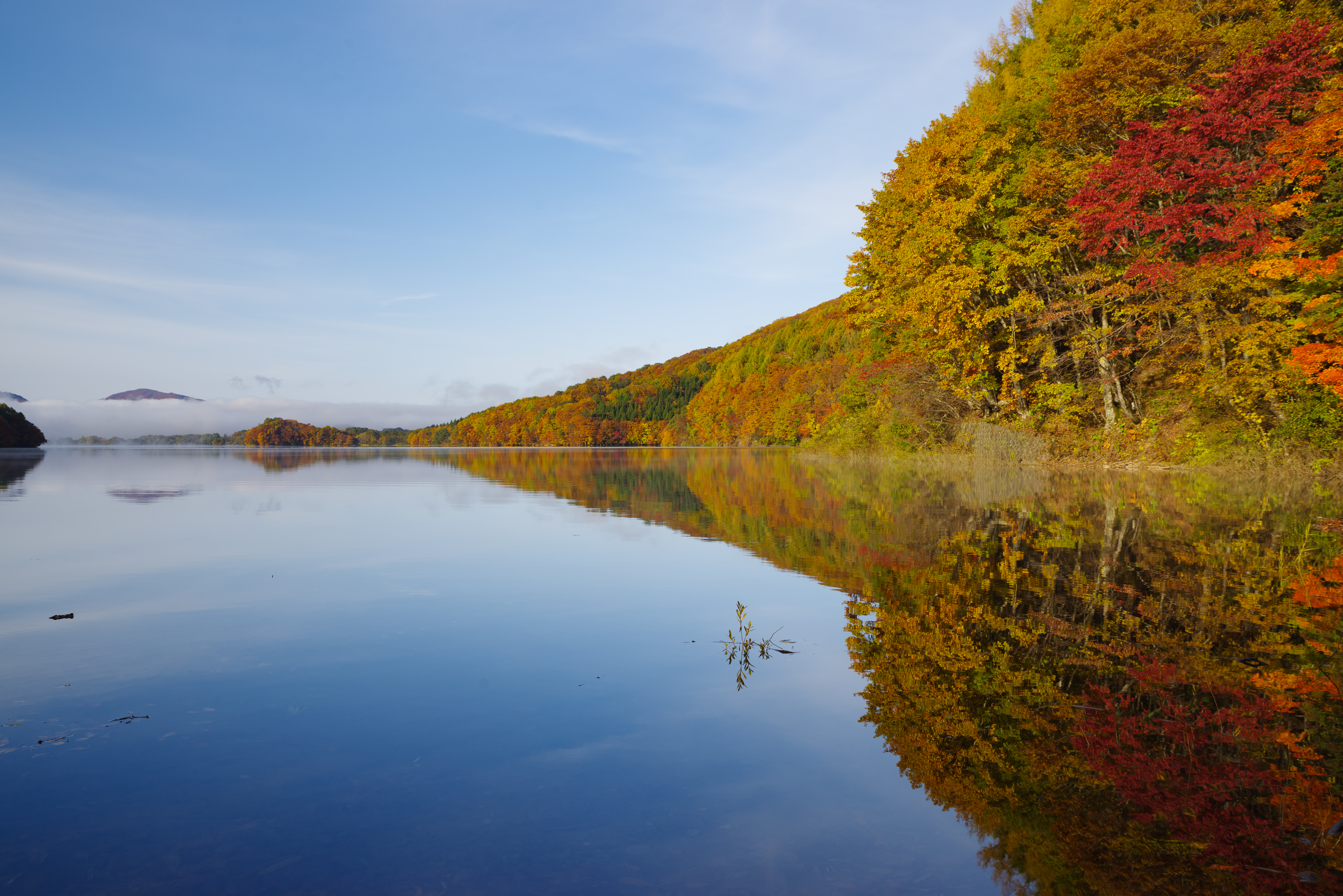 Скачать обои бесплатно Отражение, Деревья, Озеро, Природа, Осень картинка на рабочий стол ПК