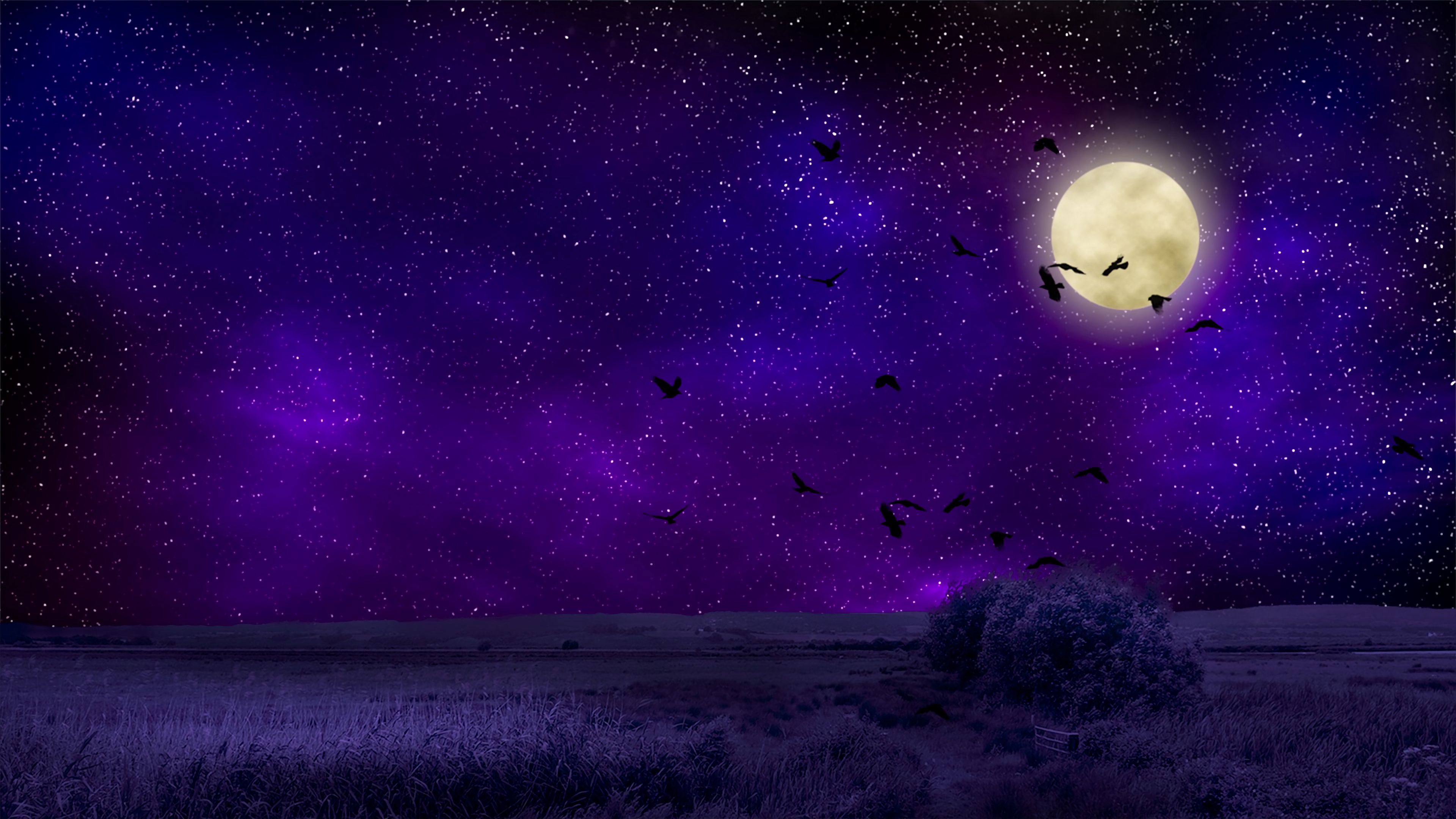 Free download wallpaper Nature, Night, Photoshop, Starry Sky, Full Moon, Birds on your PC desktop