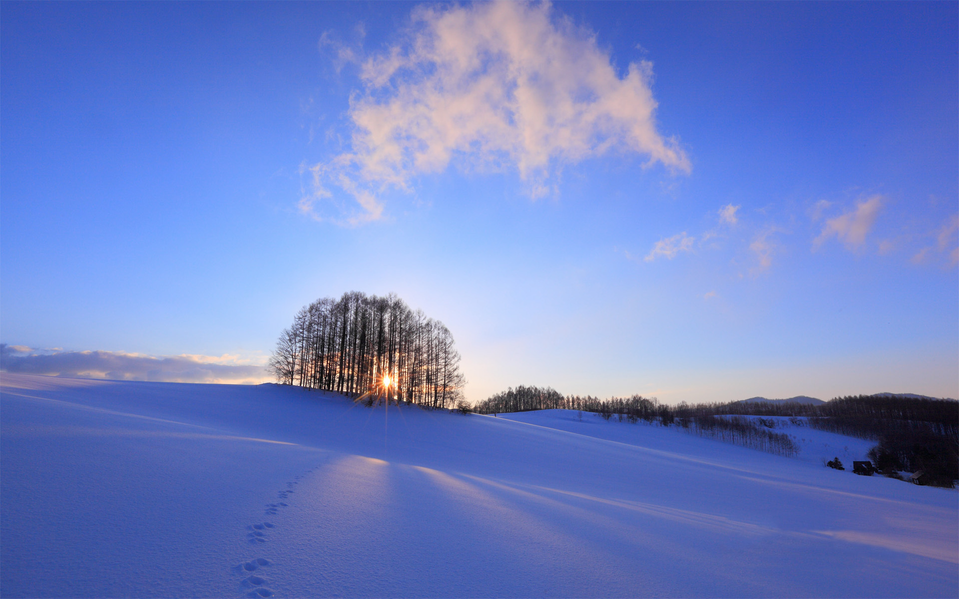 Téléchargez gratuitement l'image Hiver, Terre/nature sur le bureau de votre PC