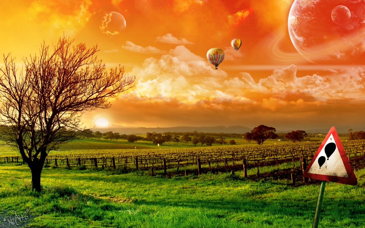 Download mobile wallpaper Grass, Sky, Clouds, Landscape, Sunset, Grapes, Balloons for free.