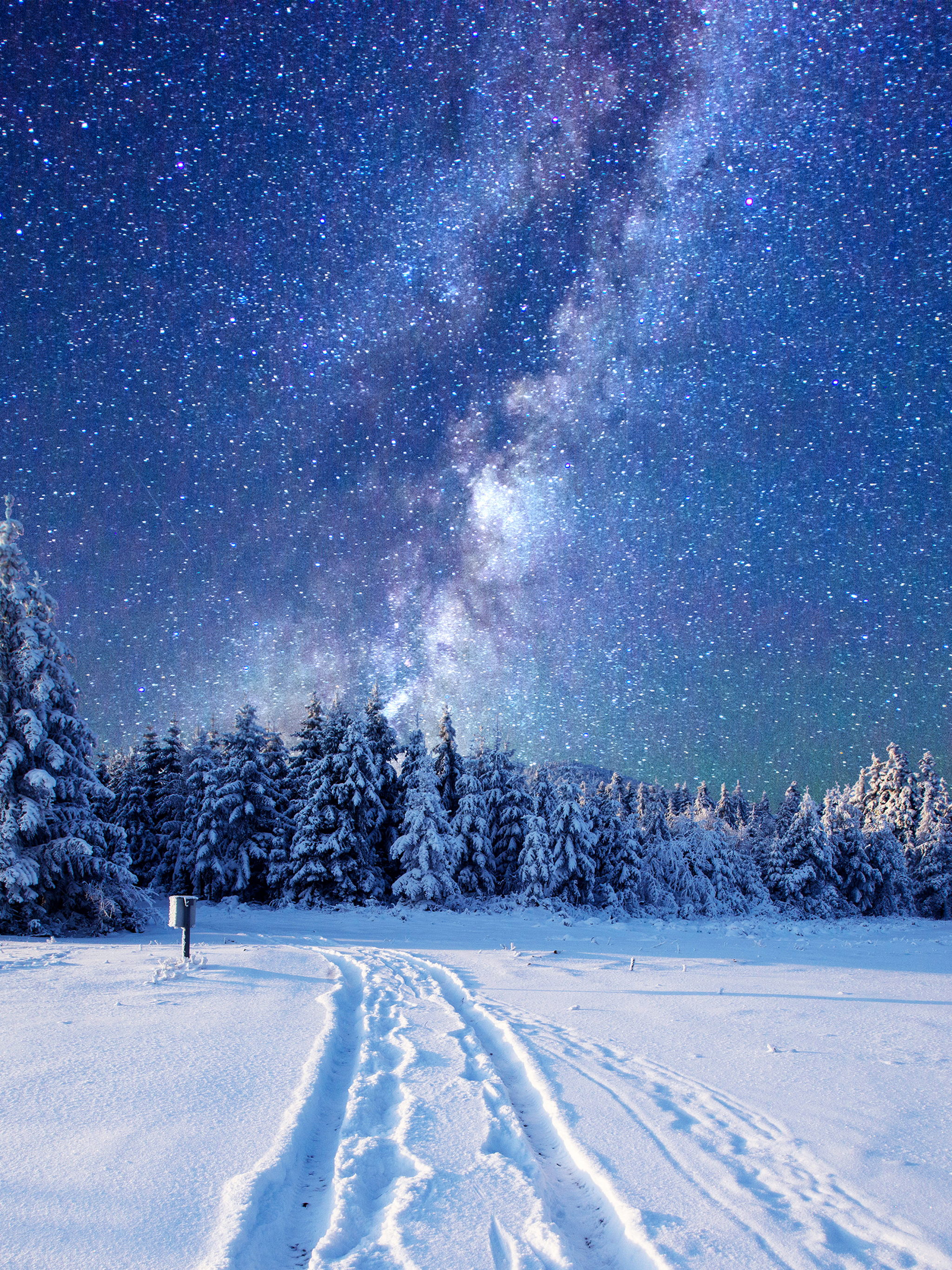 Handy-Wallpaper Winter, Natur, Sterne, Schnee, Wald, Milchstraße, Science Fiction, Nacht, Himmel, Sternenklarer Himmel kostenlos herunterladen.