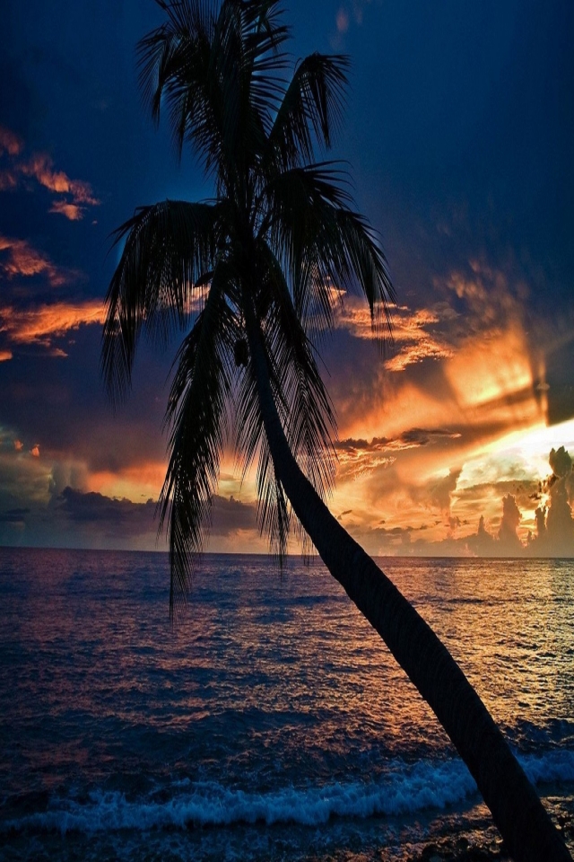 Download mobile wallpaper Beach, Earth for free.