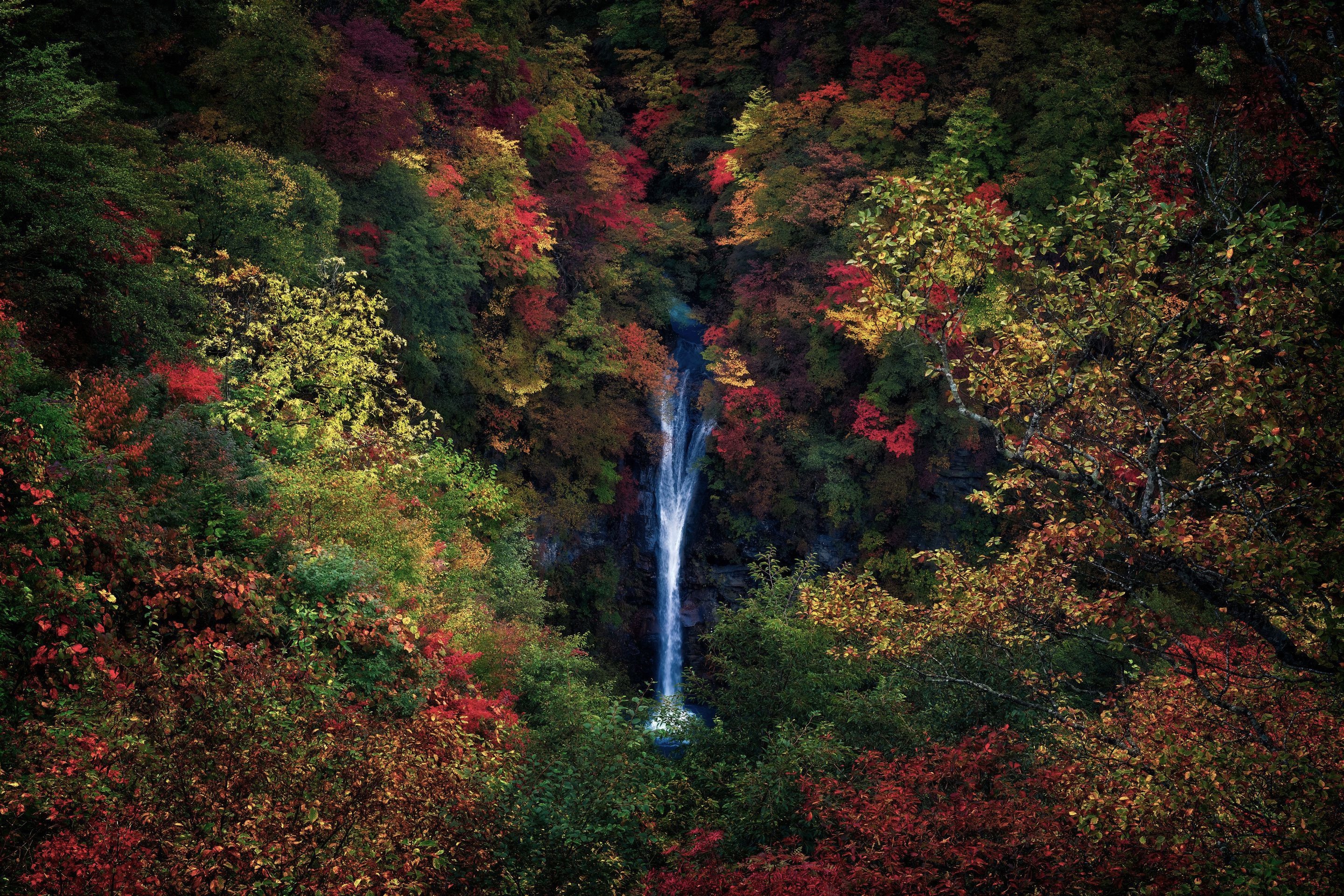 Descarga gratis la imagen Naturaleza, Cascadas, Cascada, Tierra/naturaleza en el escritorio de tu PC