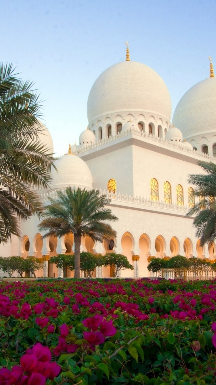 Download mobile wallpaper Flower, Abu Dhabi, Religious, Palm Tree, Sheikh Zayed Grand Mosque, Mosques for free.