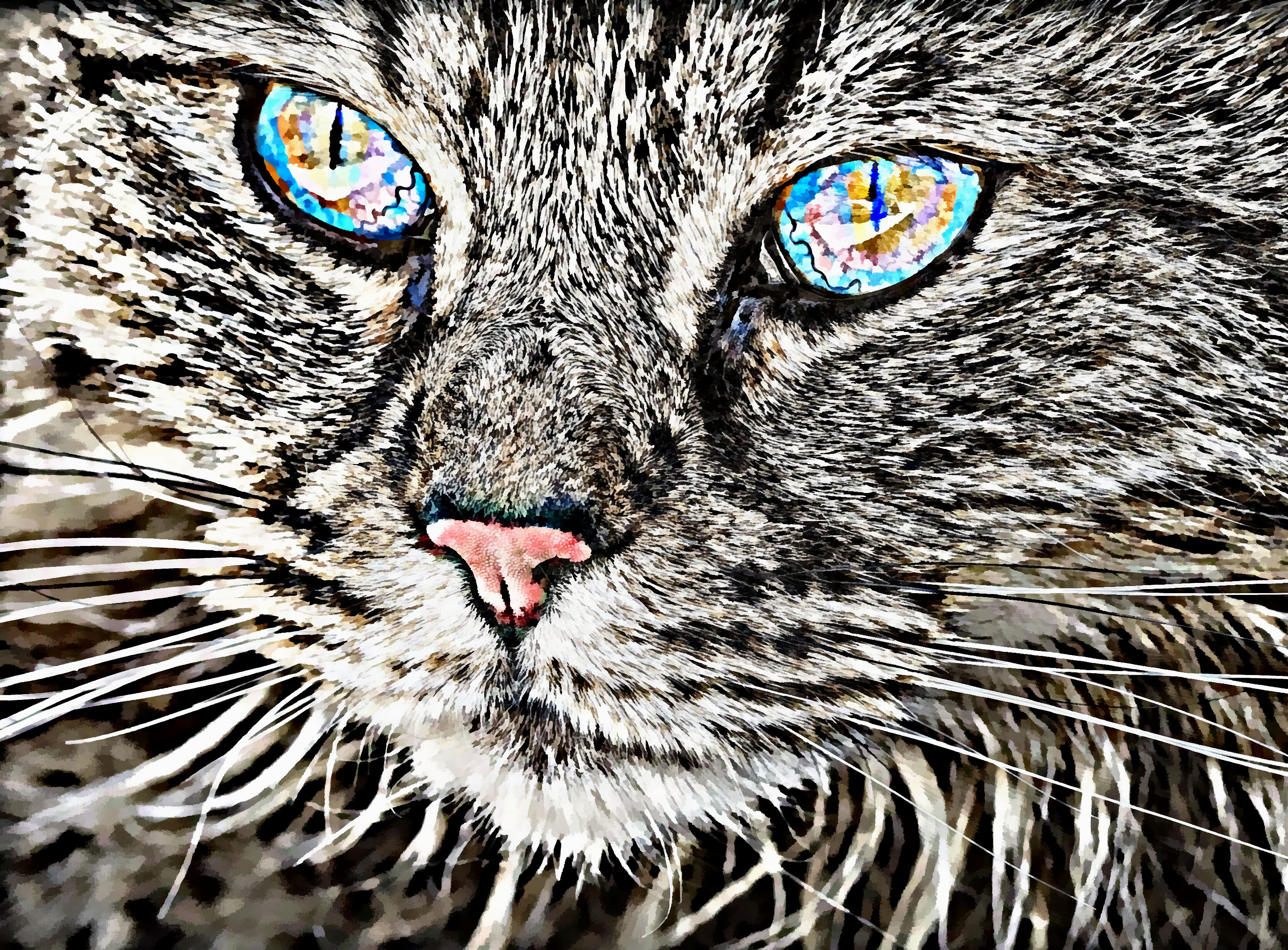 PCデスクトップに動物, ネコ, 猫, 描く画像を無料でダウンロード