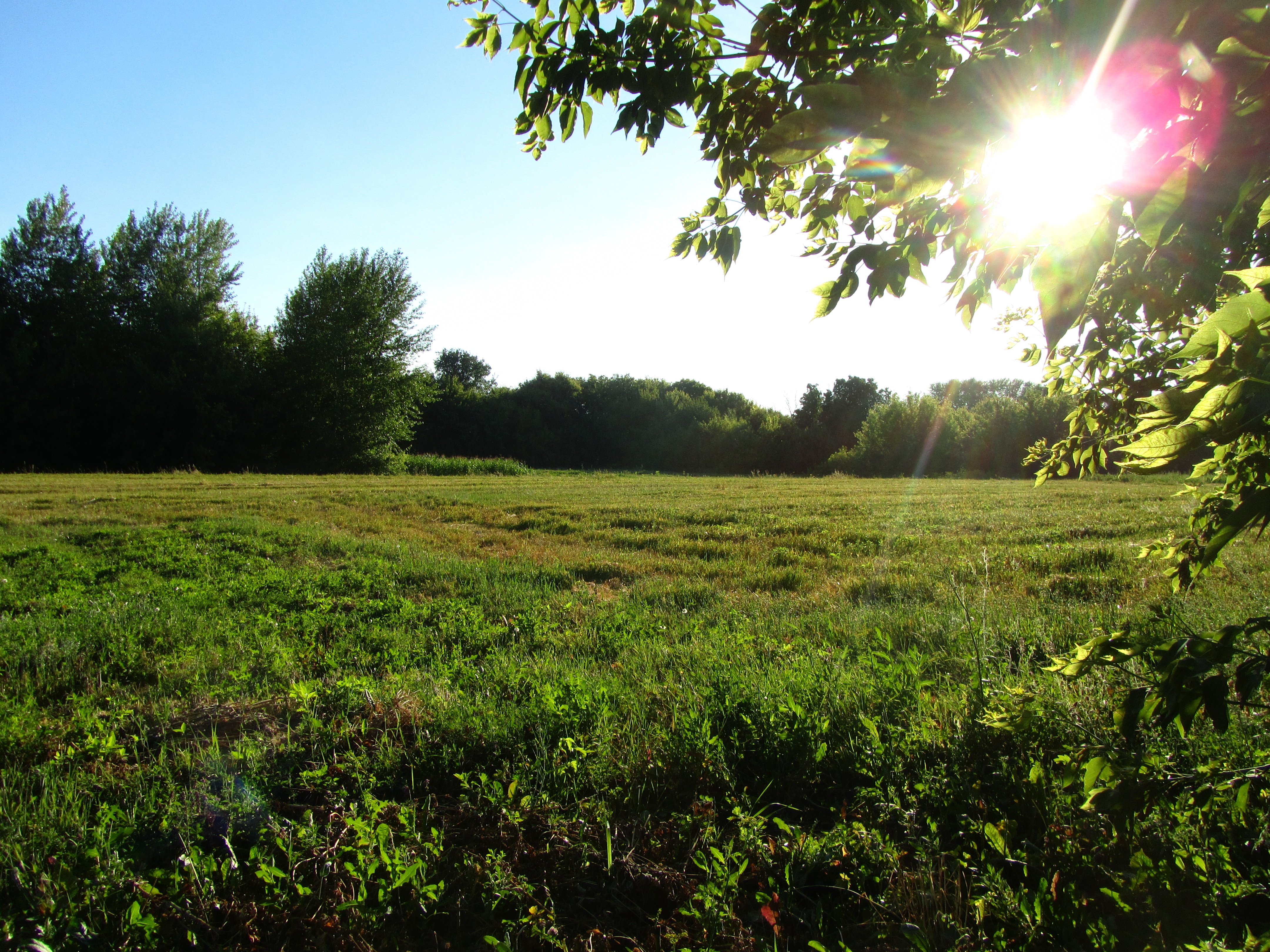 Handy-Wallpaper Landschaft, Erde/natur kostenlos herunterladen.