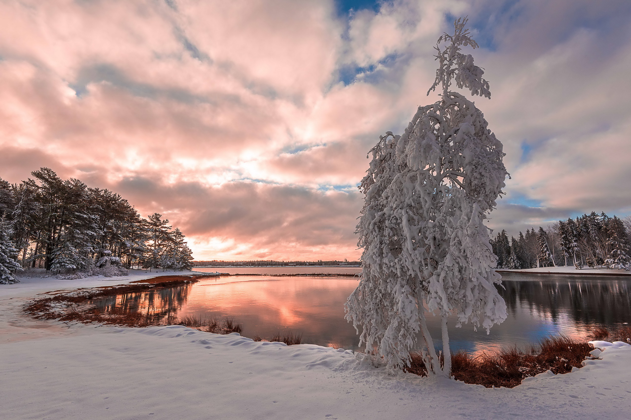 Free download wallpaper Winter, Sunset, Snow, Lake, Tree, Earth, Cloud on your PC desktop