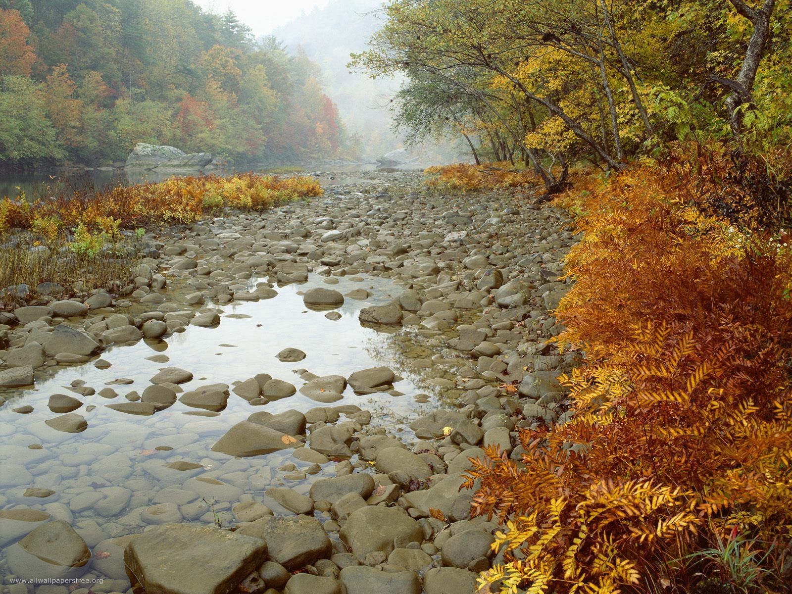 Скачать картинку Природа, Река, Камни, Вода, Осень в телефон бесплатно.