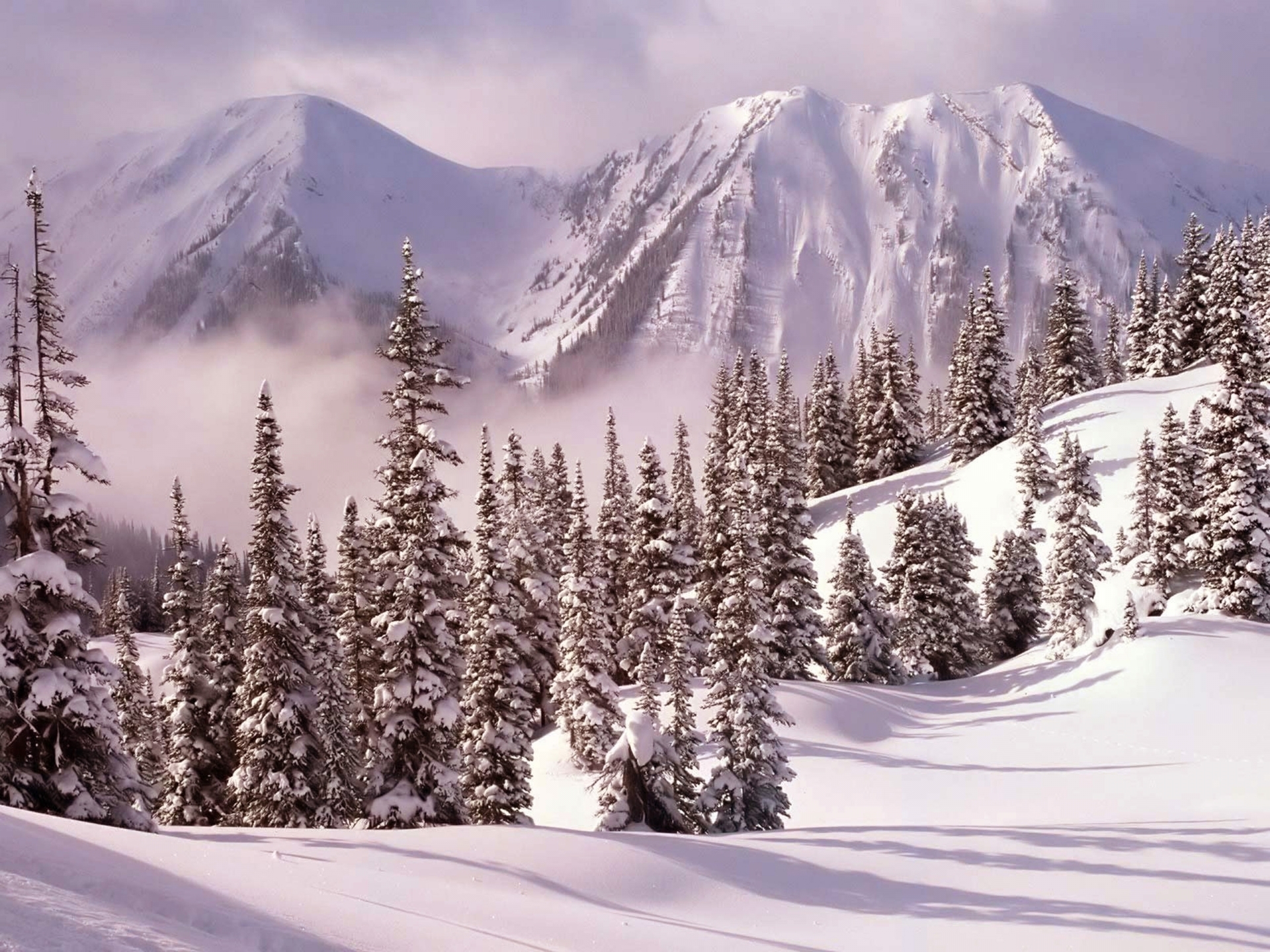 Téléchargez gratuitement l'image Neige, Nature, Ombres, Ombre, Montagnes, Hiver sur le bureau de votre PC