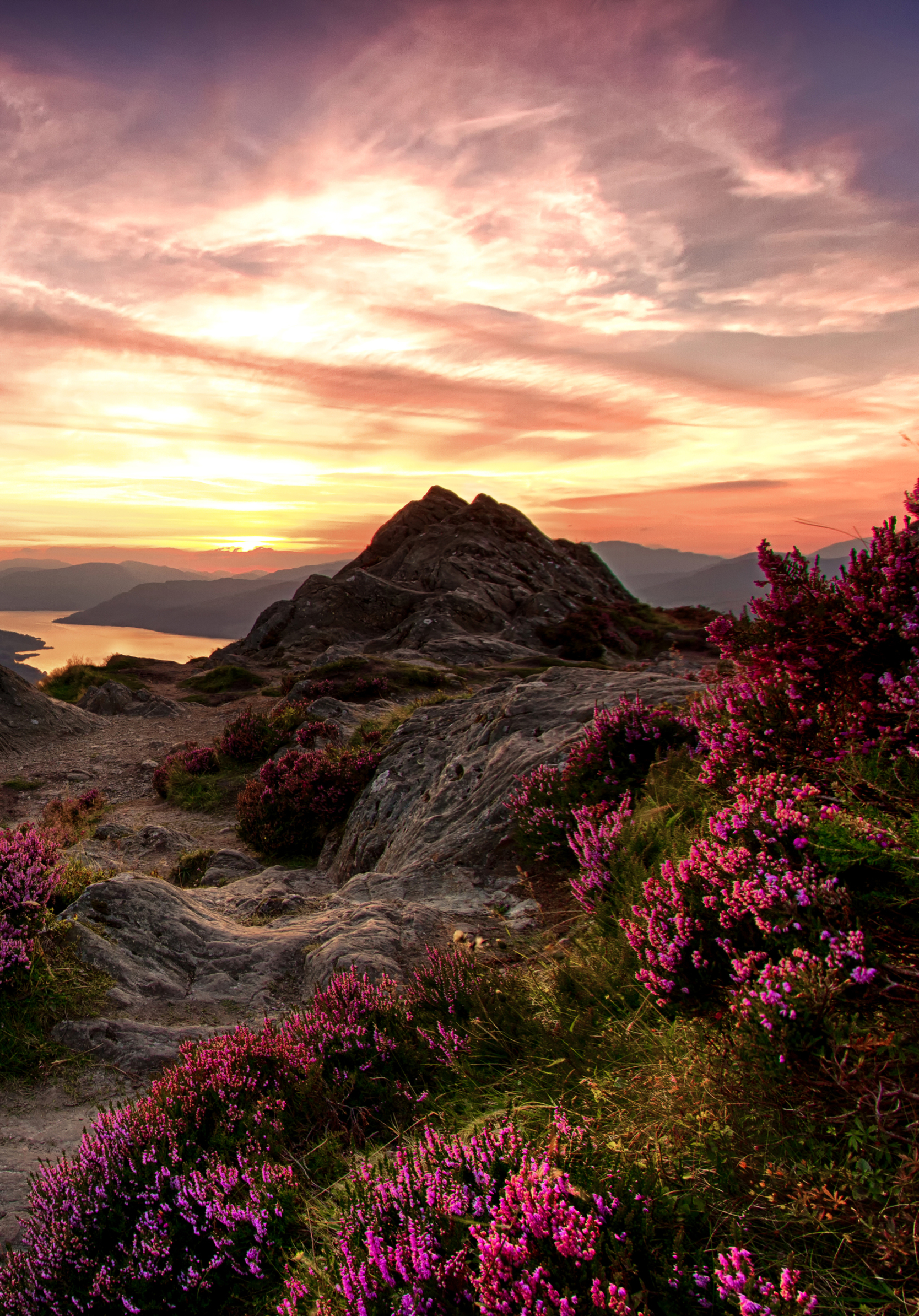 Download mobile wallpaper Landscape, Nature, Sky, Horizon, Sunrise, Earth, Pink Flower for free.