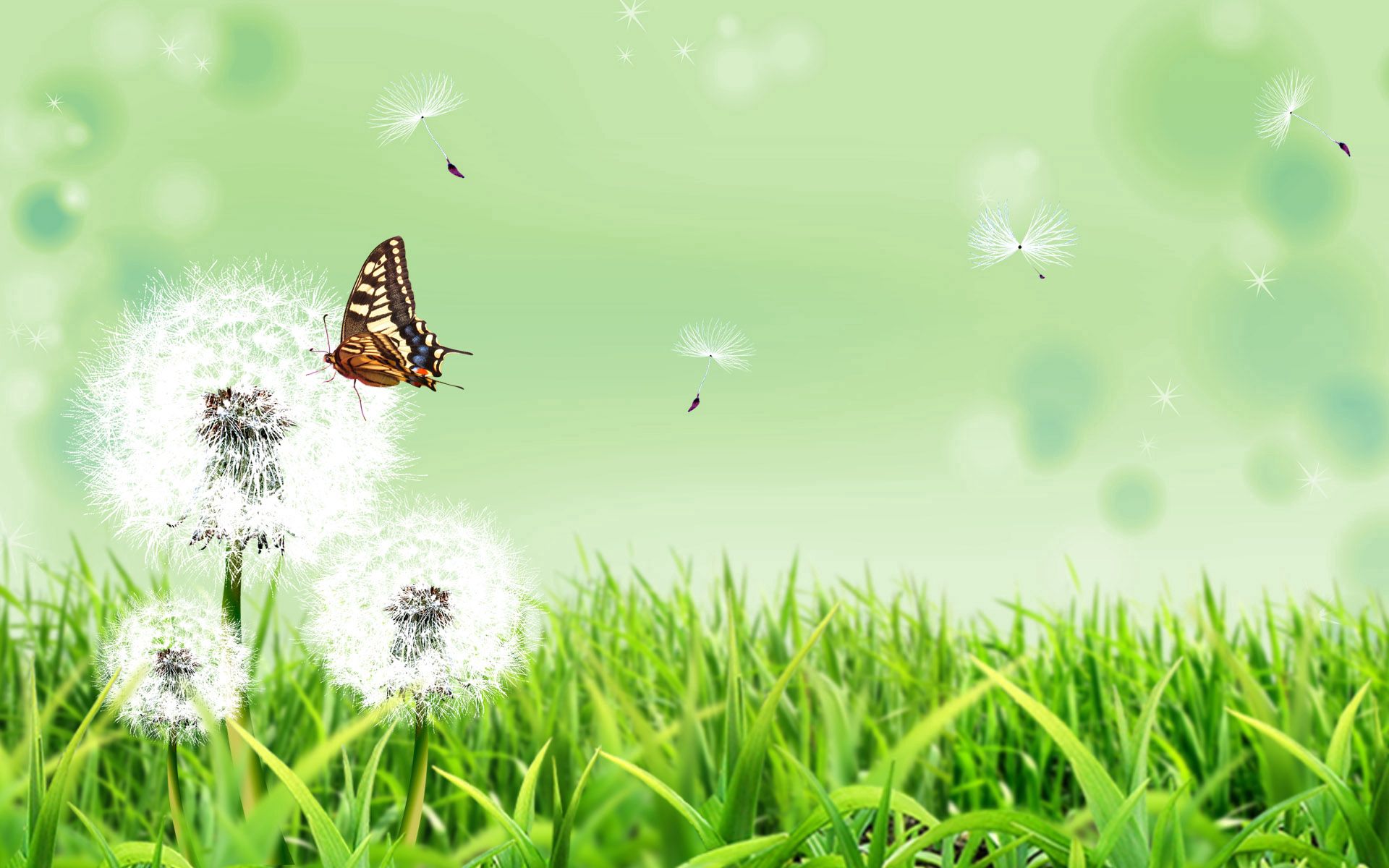 Free download wallpaper Grass, Dandelion, Nature, Butterfly, Vector on your PC desktop