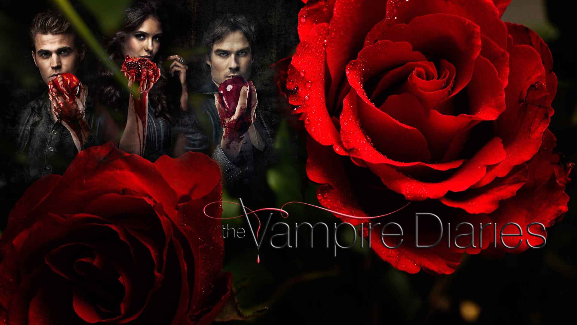 552618 скачать обои роза, дневники вампира, цветок, телешоу, кровь, хеллоуин, ужастик, вампир - заставки и картинки бесплатно