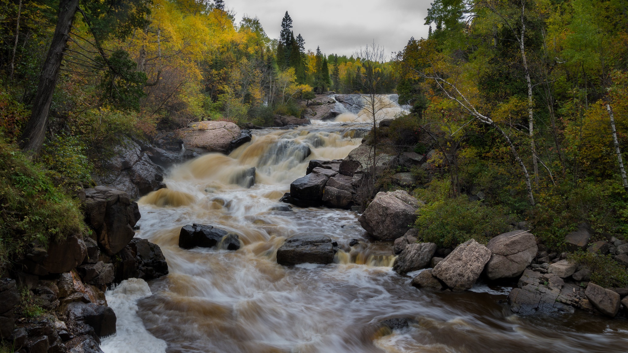 Скачать картинку Река, Осень, Лес, Камень, Ручей, Земля/природа в телефон бесплатно.