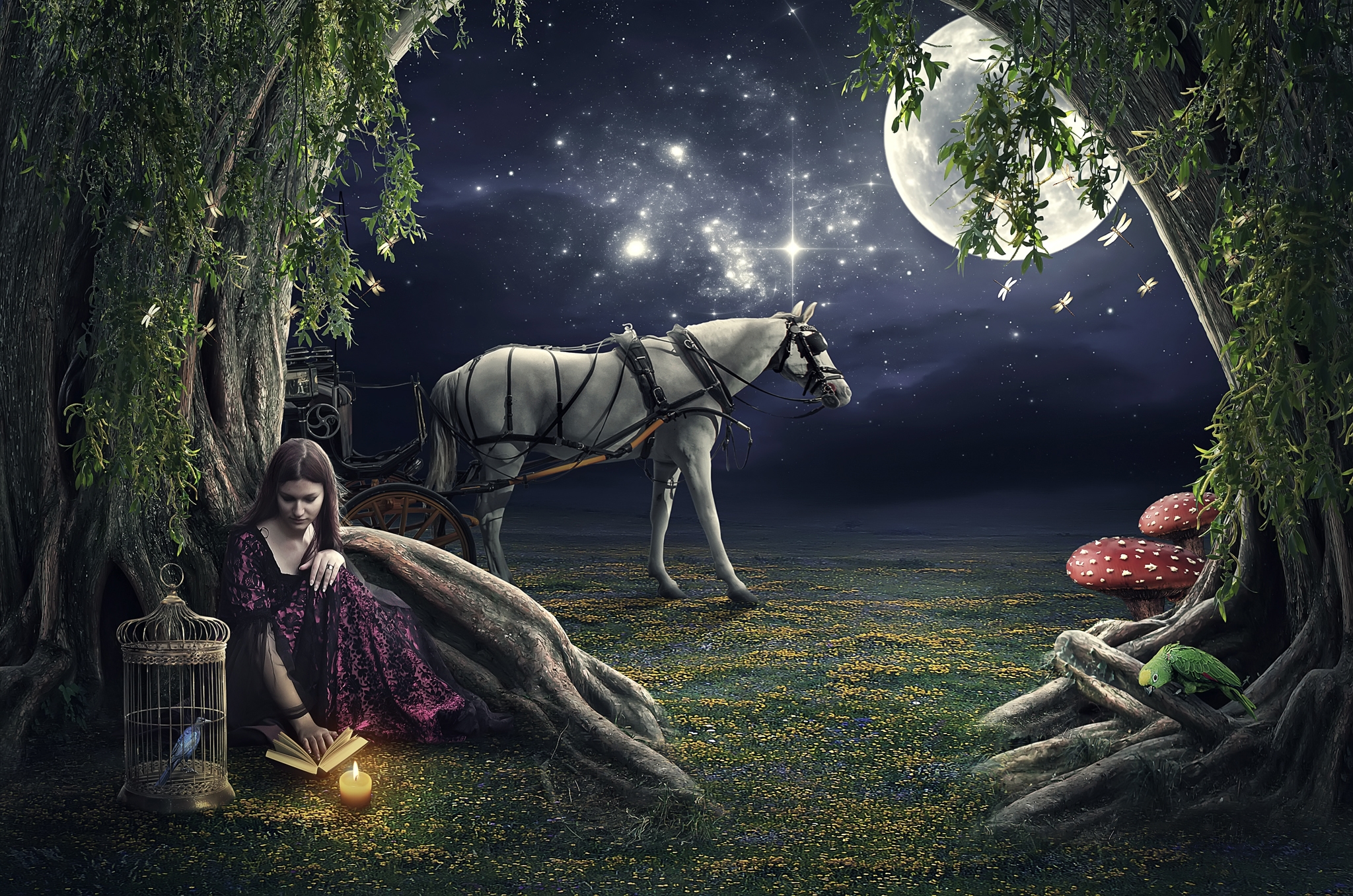 Baixe gratuitamente a imagem Fantasia, Lua, Floresta, Árvore, Cogumelo, Cavalo na área de trabalho do seu PC