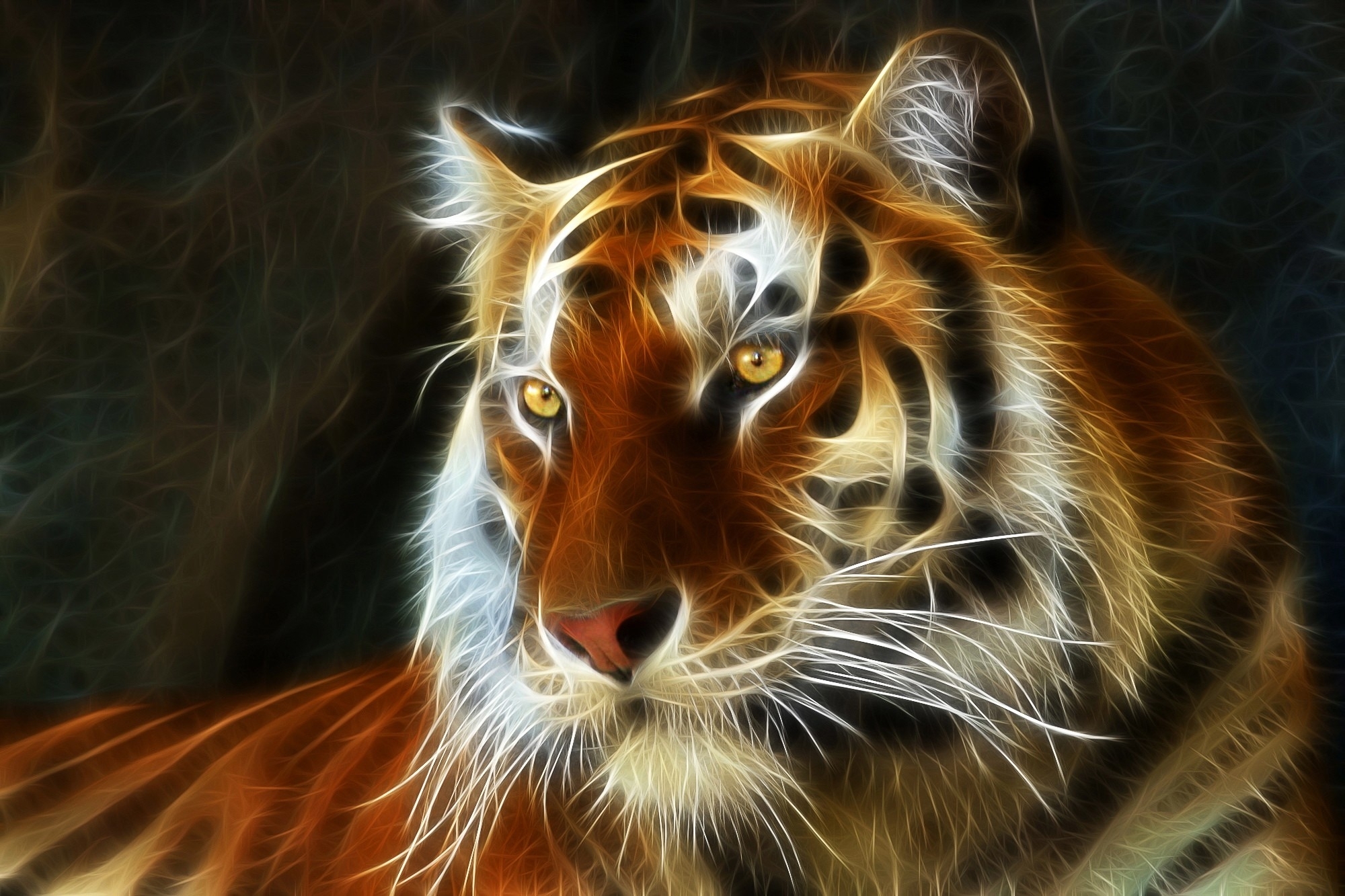 Descarga gratis la imagen Gatos, Animales, Tigre en el escritorio de tu PC