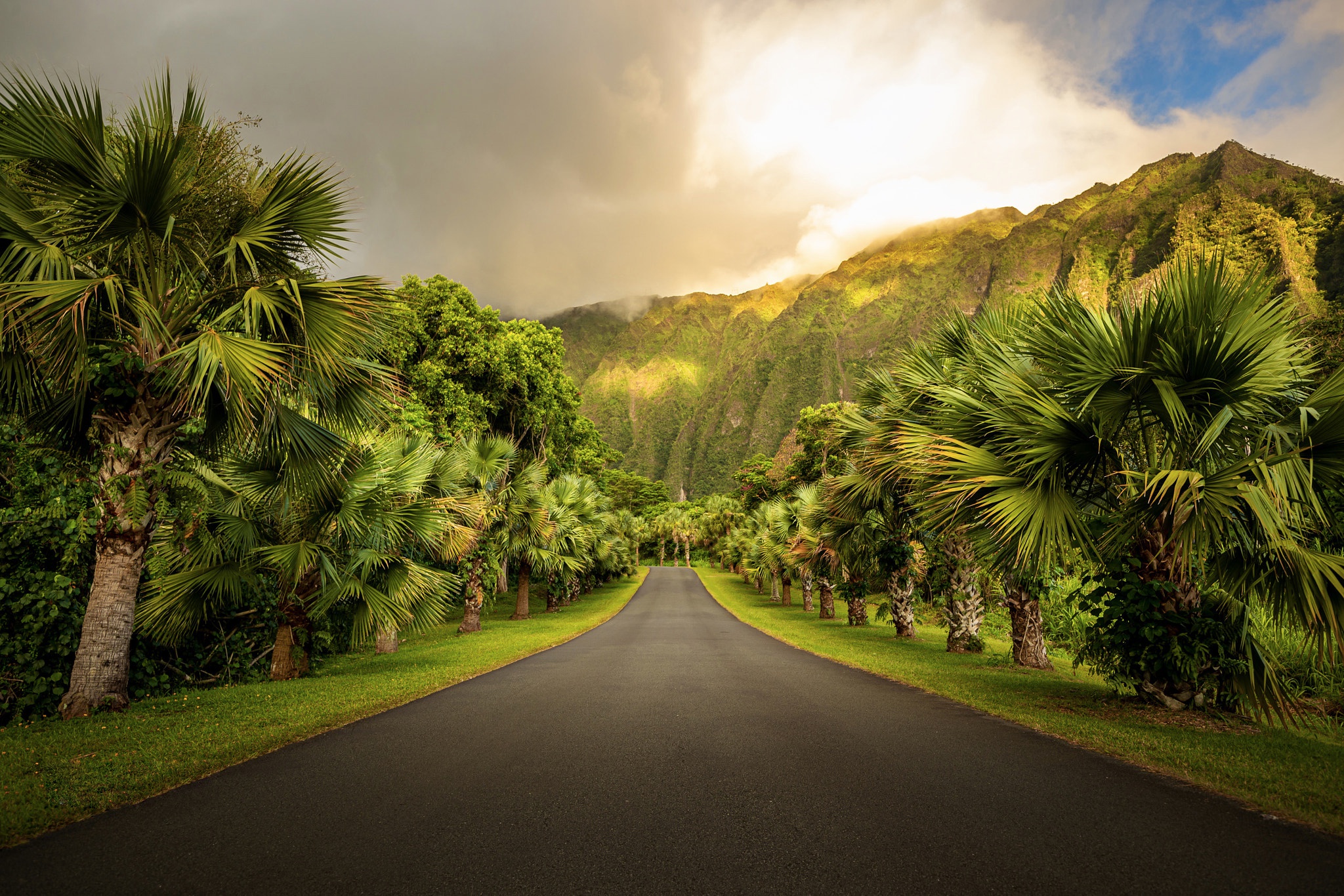 Download mobile wallpaper Sky, Mountain, Road, Man Made, Palm Tree for free.