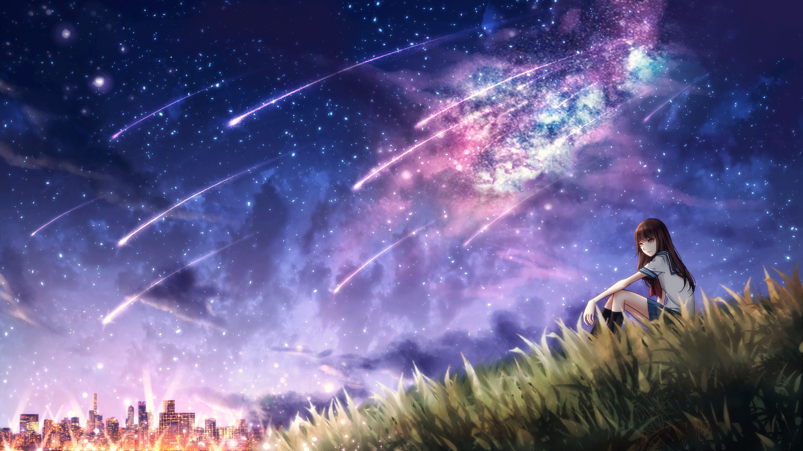 Download mobile wallpaper Anime, Grass, Starry Sky, Original, Long Hair, Brown Hair for free.