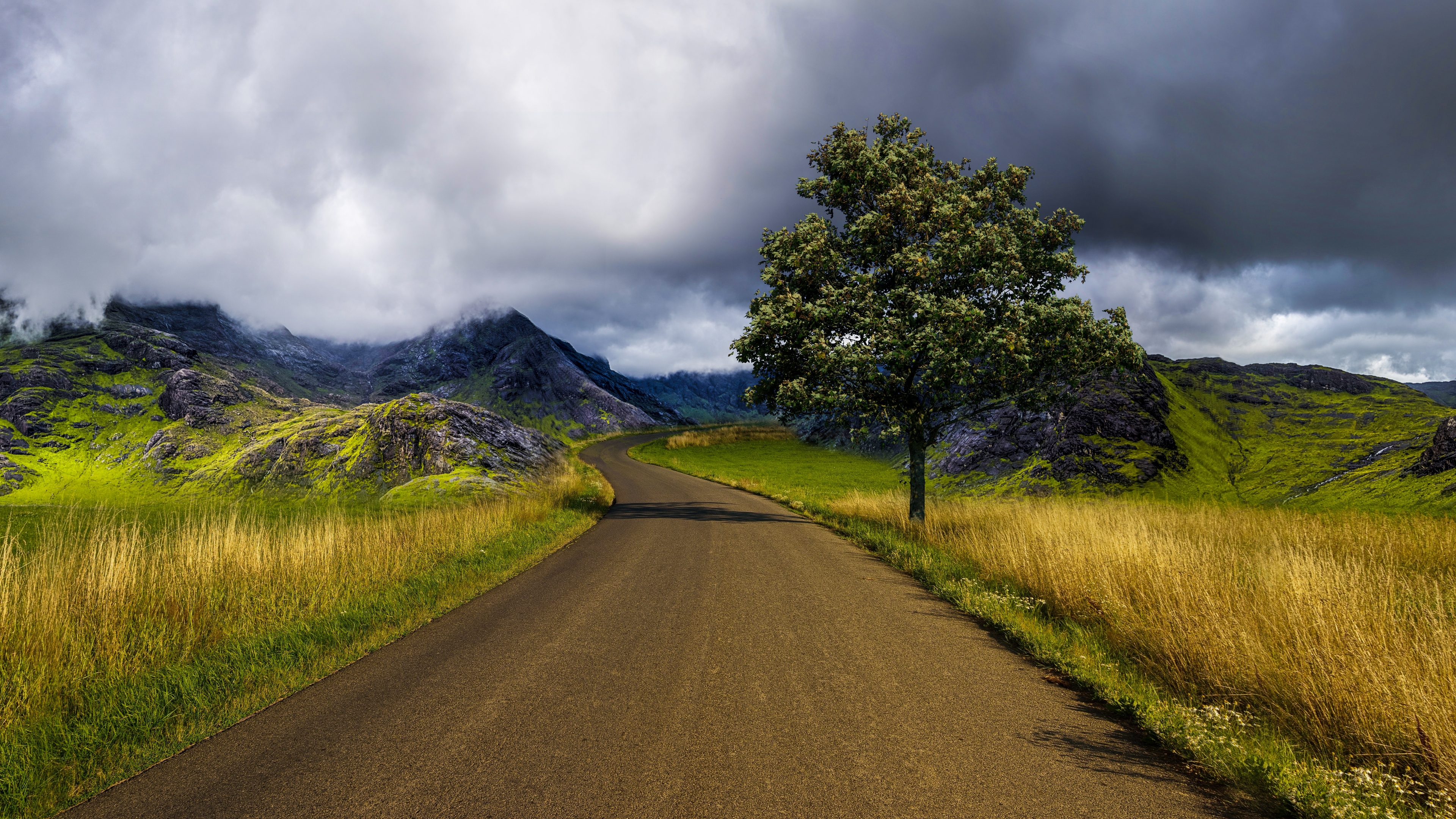 Free download wallpaper Landscape, Road, Tree, Man Made on your PC desktop