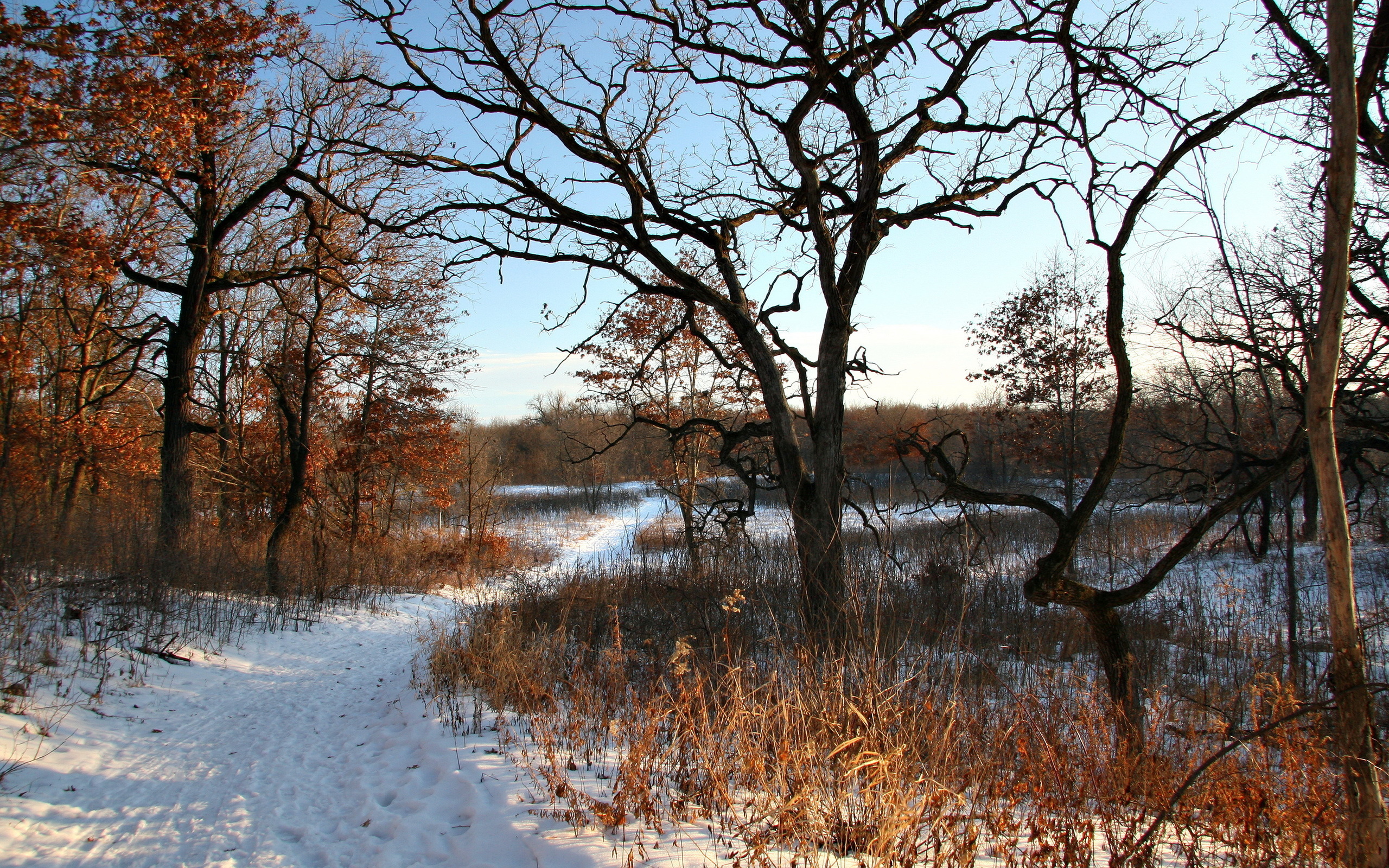 Handy-Wallpaper Winter, Pfad, Erde/natur kostenlos herunterladen.