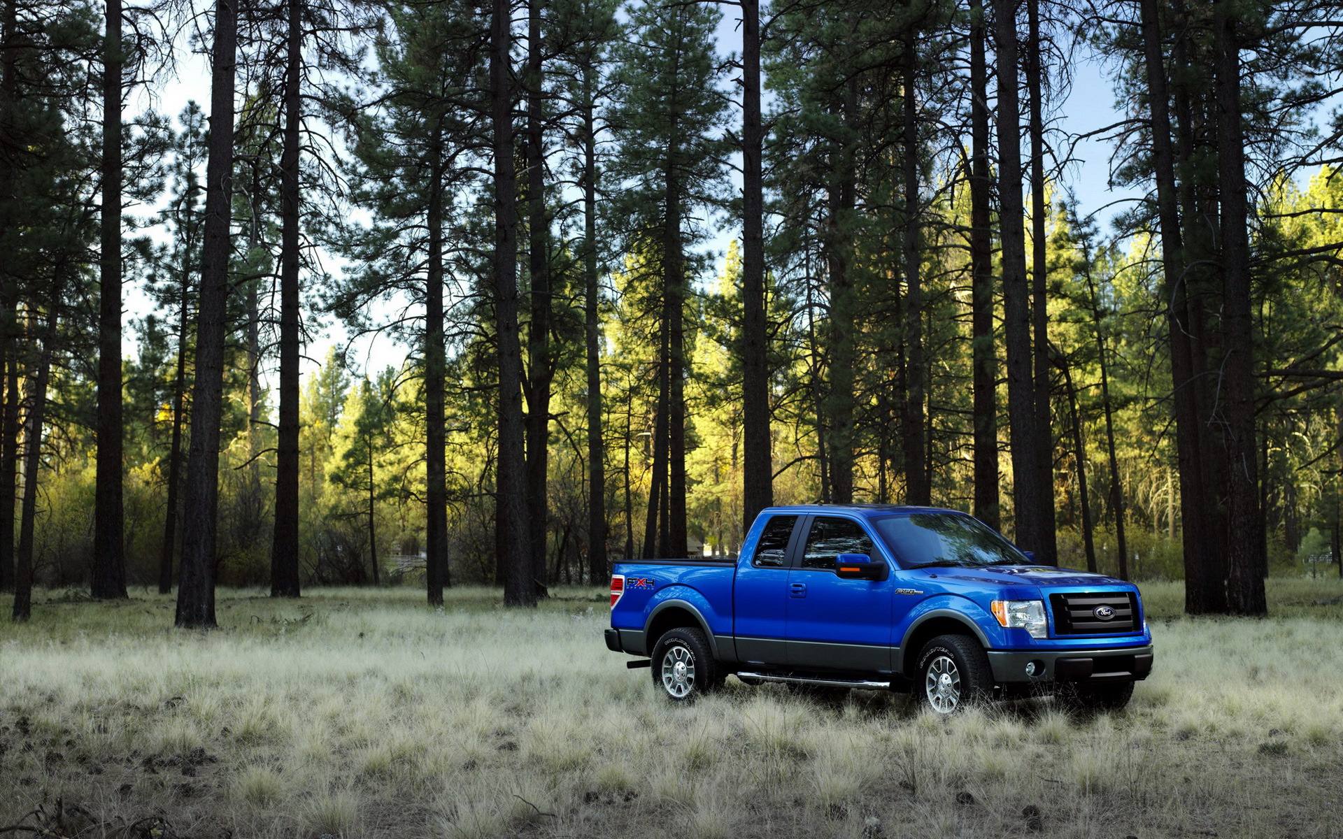 Download mobile wallpaper Ford F 150, Ford, Vehicles for free.