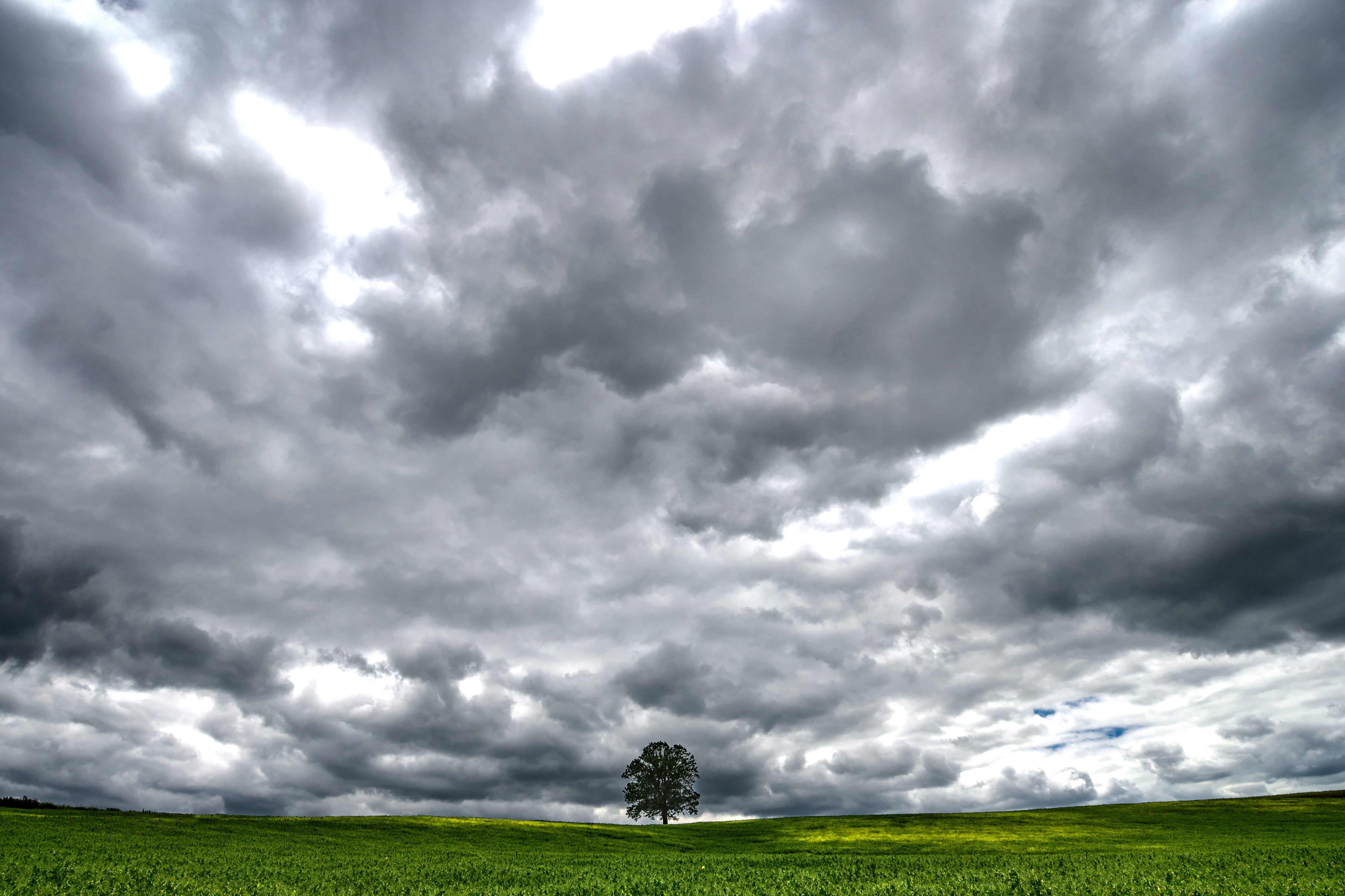 Free download wallpaper Nature, Clouds, Wood, Tree, Landscape, Meadow on your PC desktop