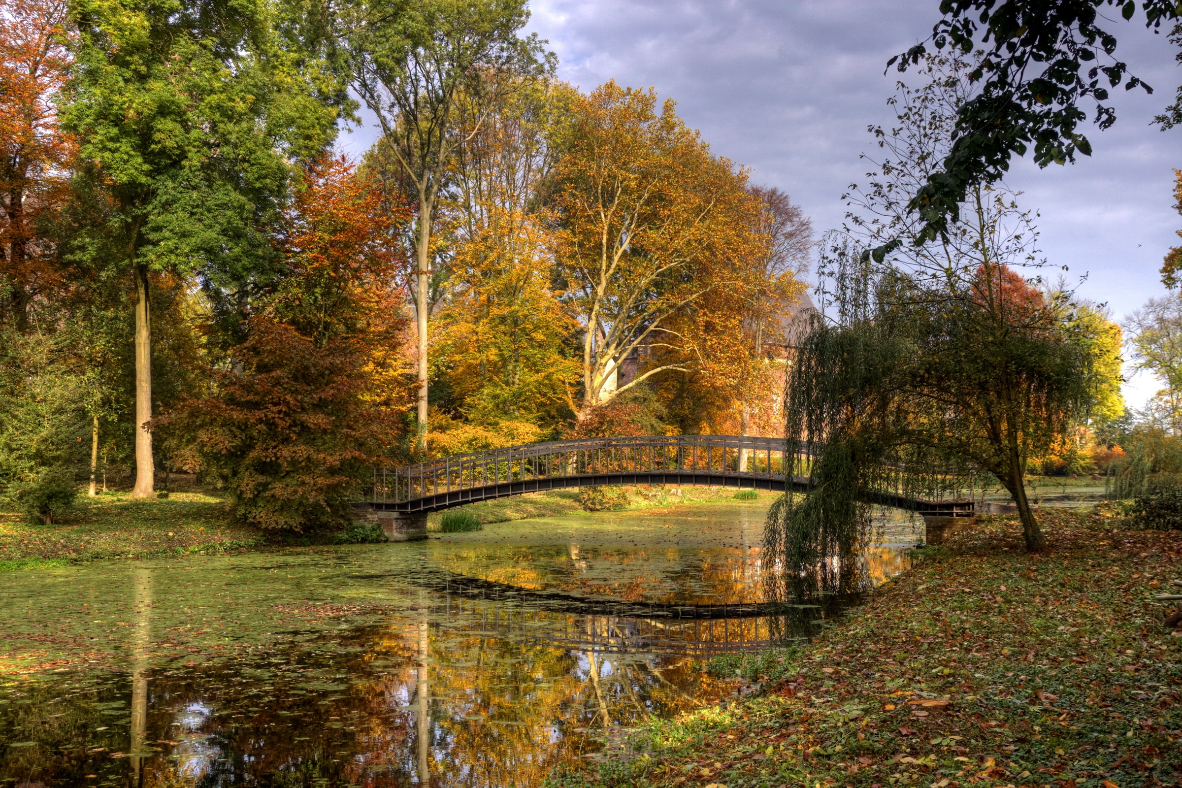 121358 скачать картинку природа, река, осень, листья, деревья, мост, нидерланды - обои и заставки бесплатно