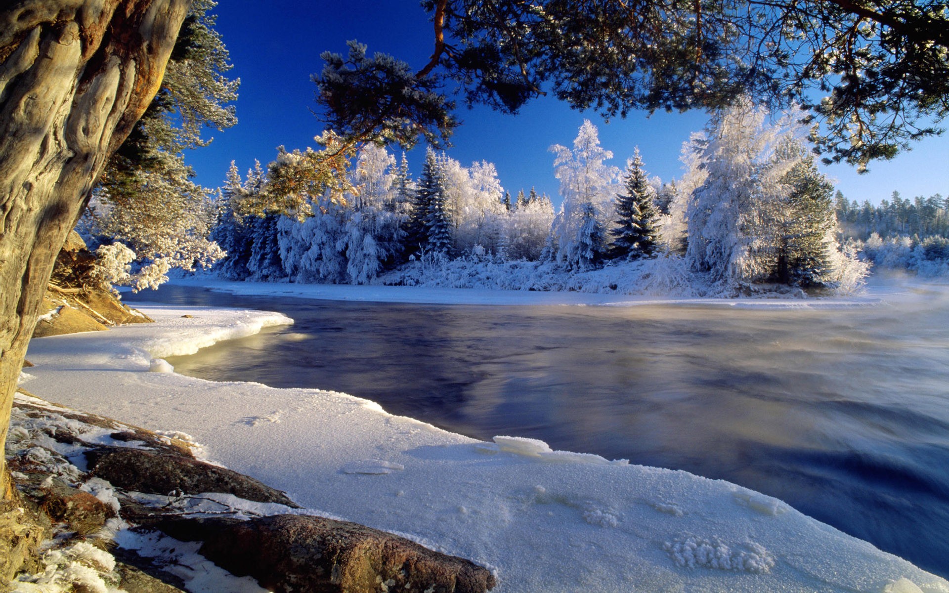 Free download wallpaper Landscape, Winter, Nature, Water, Snow, Tree, Earth on your PC desktop