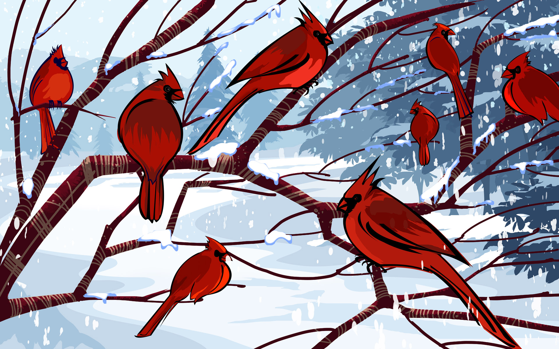 228011 скачать обои животные, кардинал, птицы - заставки и картинки бесплатно