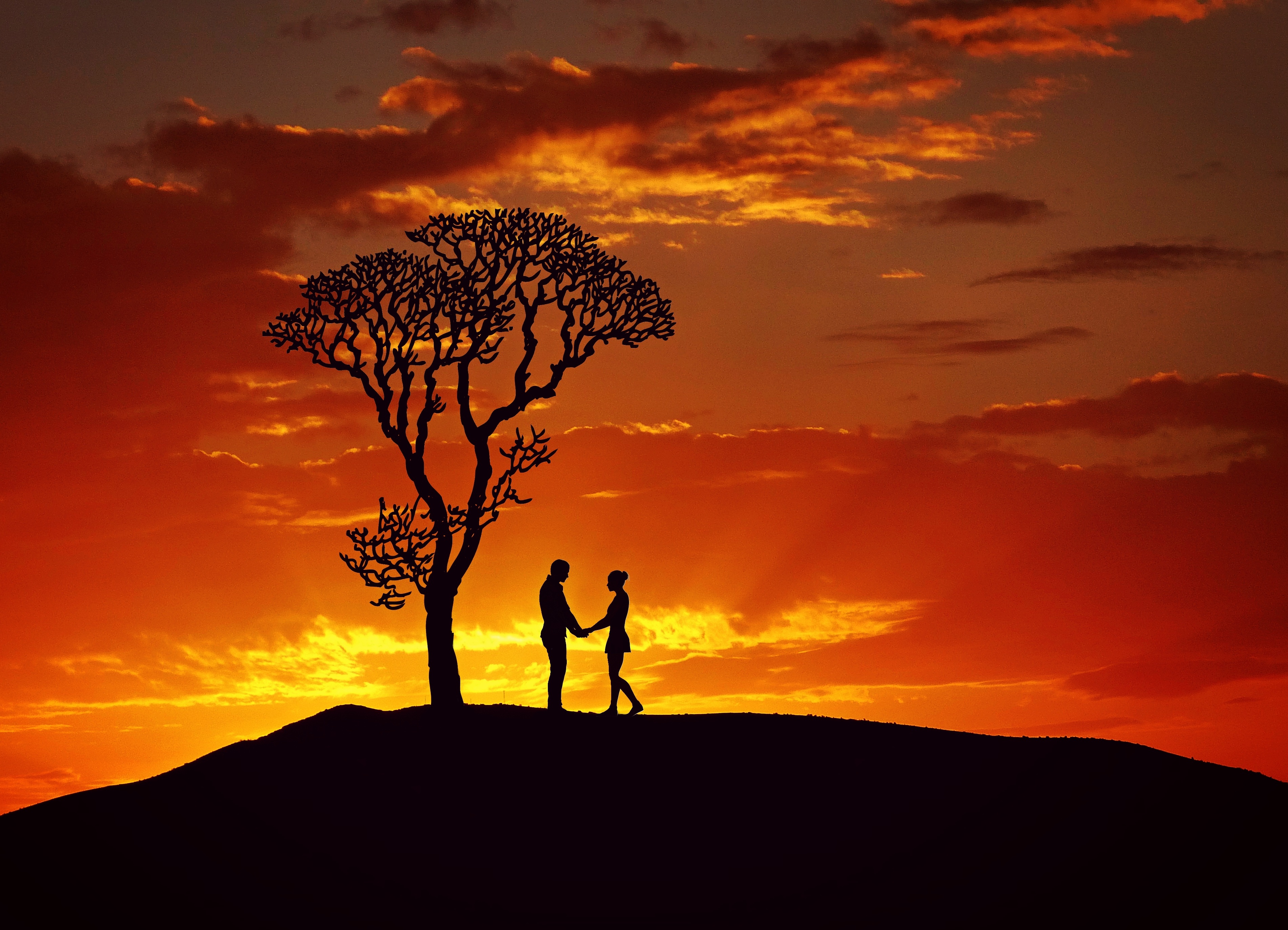 Download mobile wallpaper Wood, Tree, Silhouettes, Pair, Sunset, Love, Couple for free.