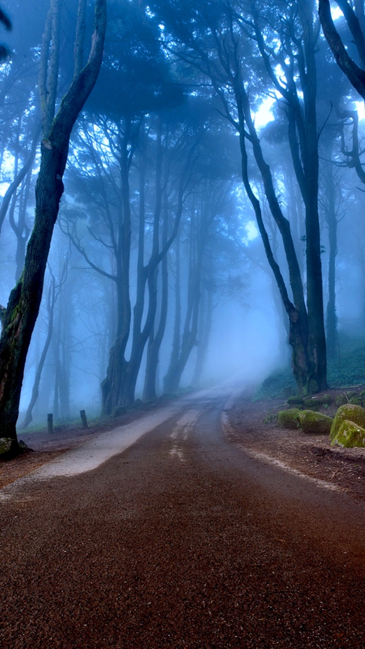 Download mobile wallpaper Nature, Road, Forest, Tree, Fog, Man Made for free.