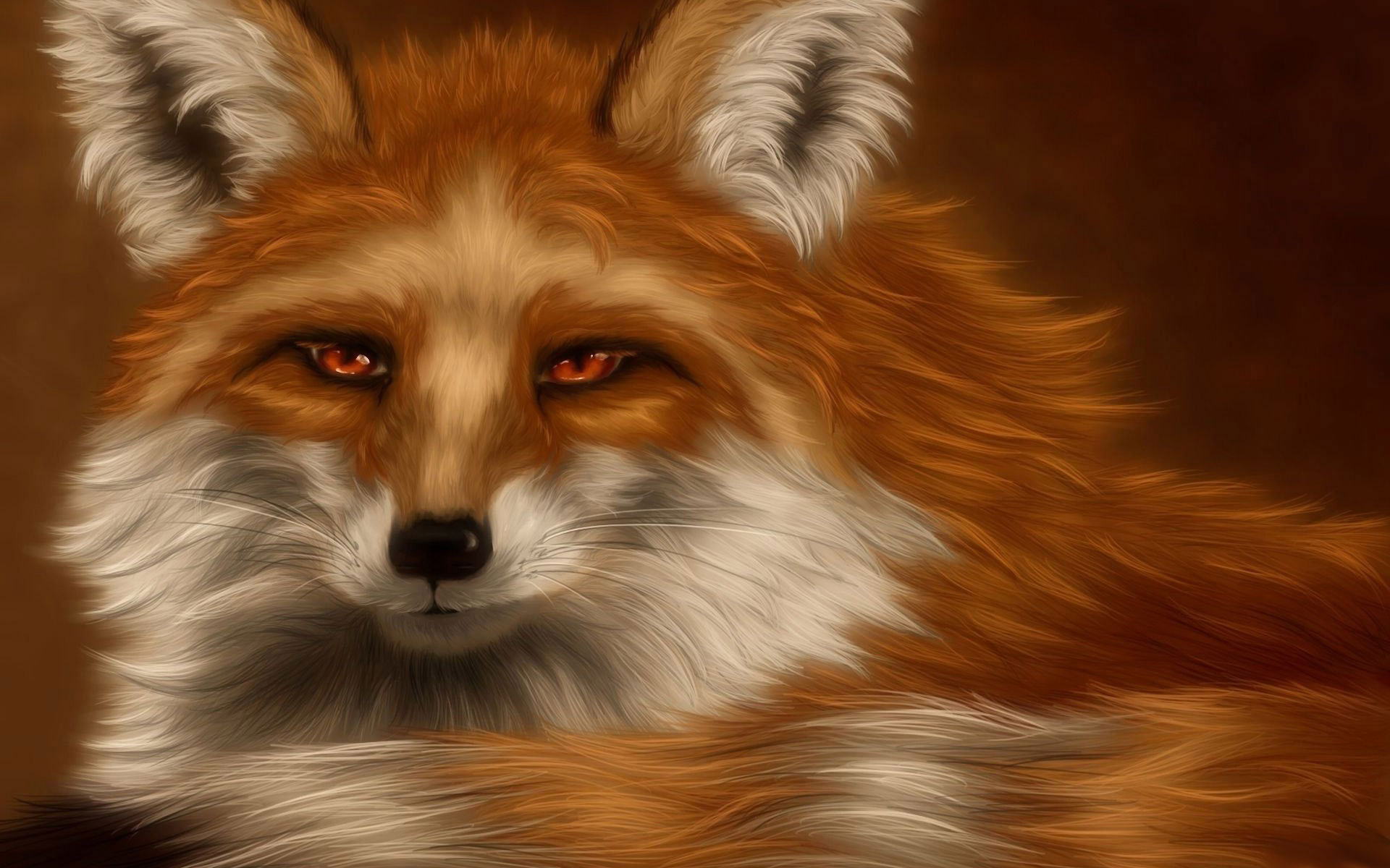 Desktop Backgrounds Fox 