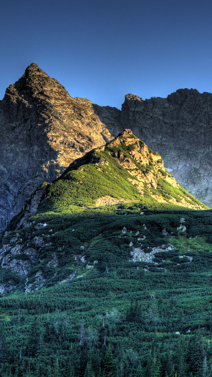 Descarga gratuita de fondo de pantalla para móvil de Montañas, Polonia, Montaña, Bosque, Tatras, Tierra/naturaleza.