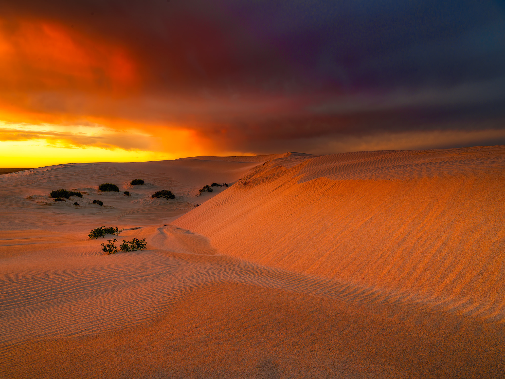 Descarga gratis la imagen Naturaleza, Cielo, Desierto, Duna, Australia, Atardecer, Tierra/naturaleza en el escritorio de tu PC