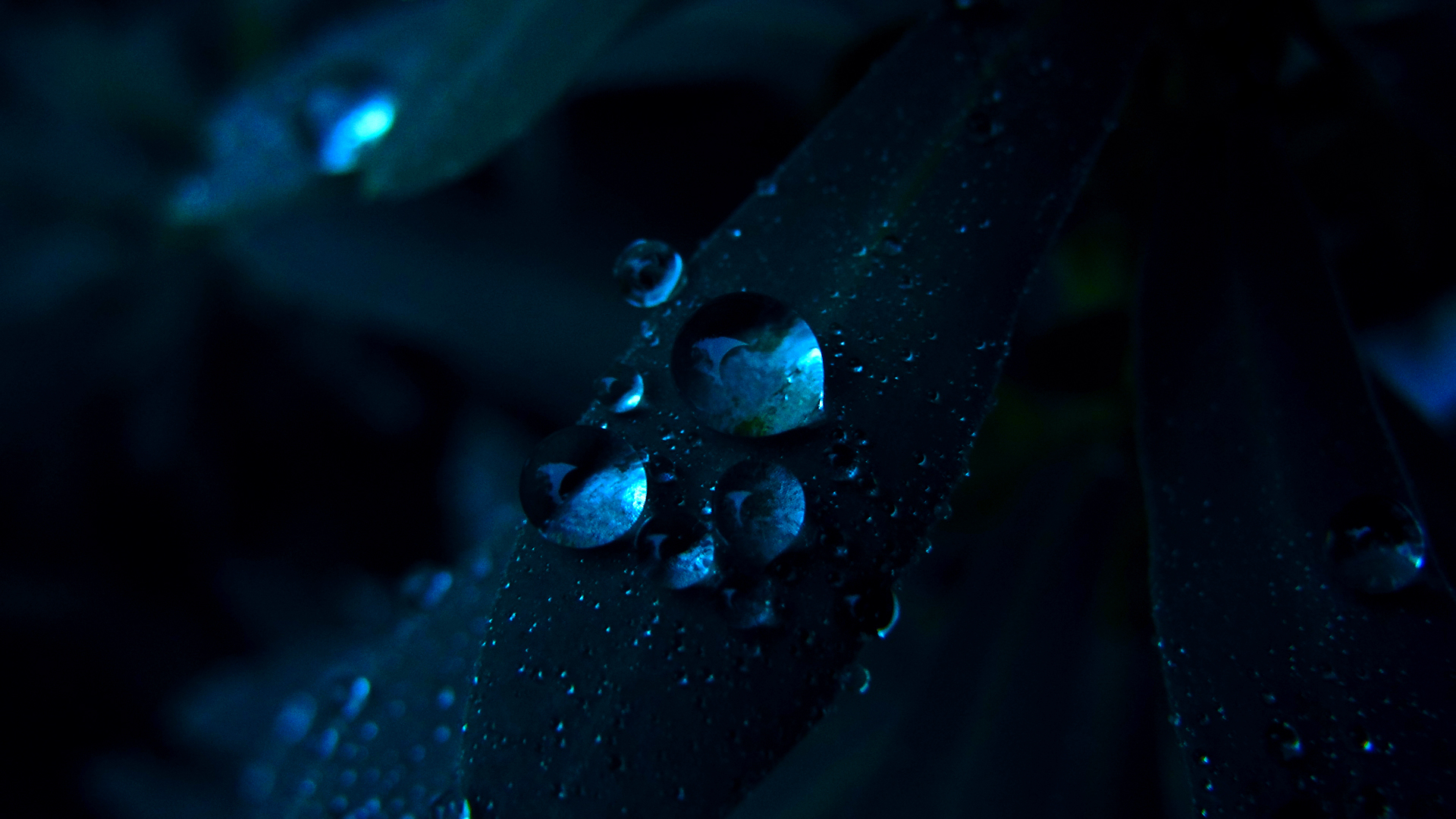 Téléchargez gratuitement l'image Terre/nature, Goutte D'eau sur le bureau de votre PC