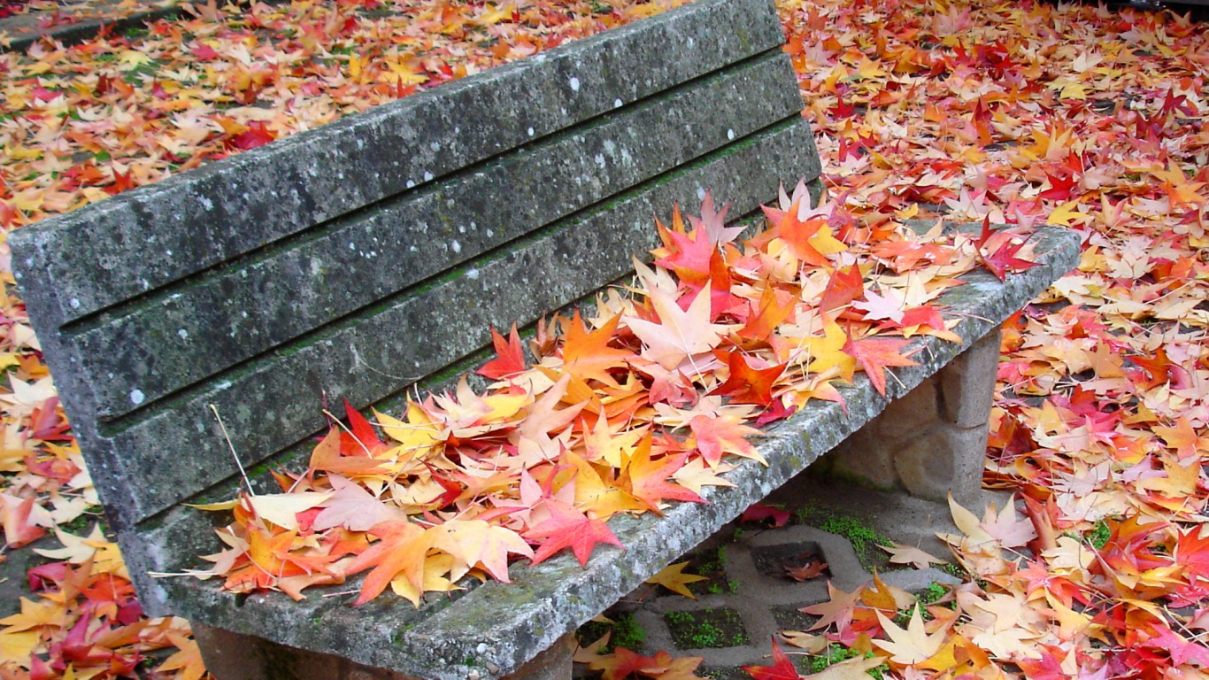 PCデスクトップに秋, 葉, ベンチ, マンメイド画像を無料でダウンロード
