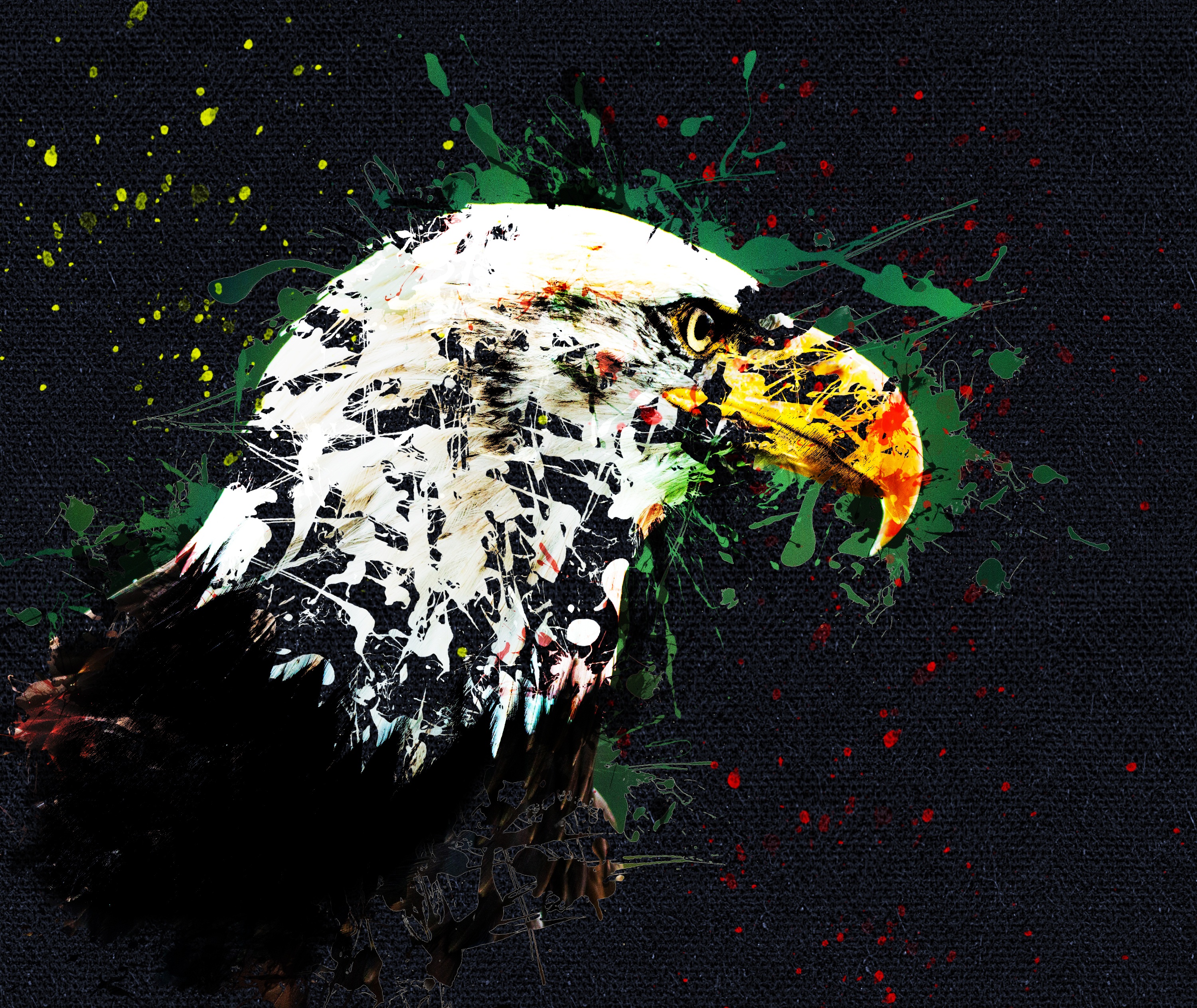 Download mobile wallpaper Beak, Eagle, Art for free.