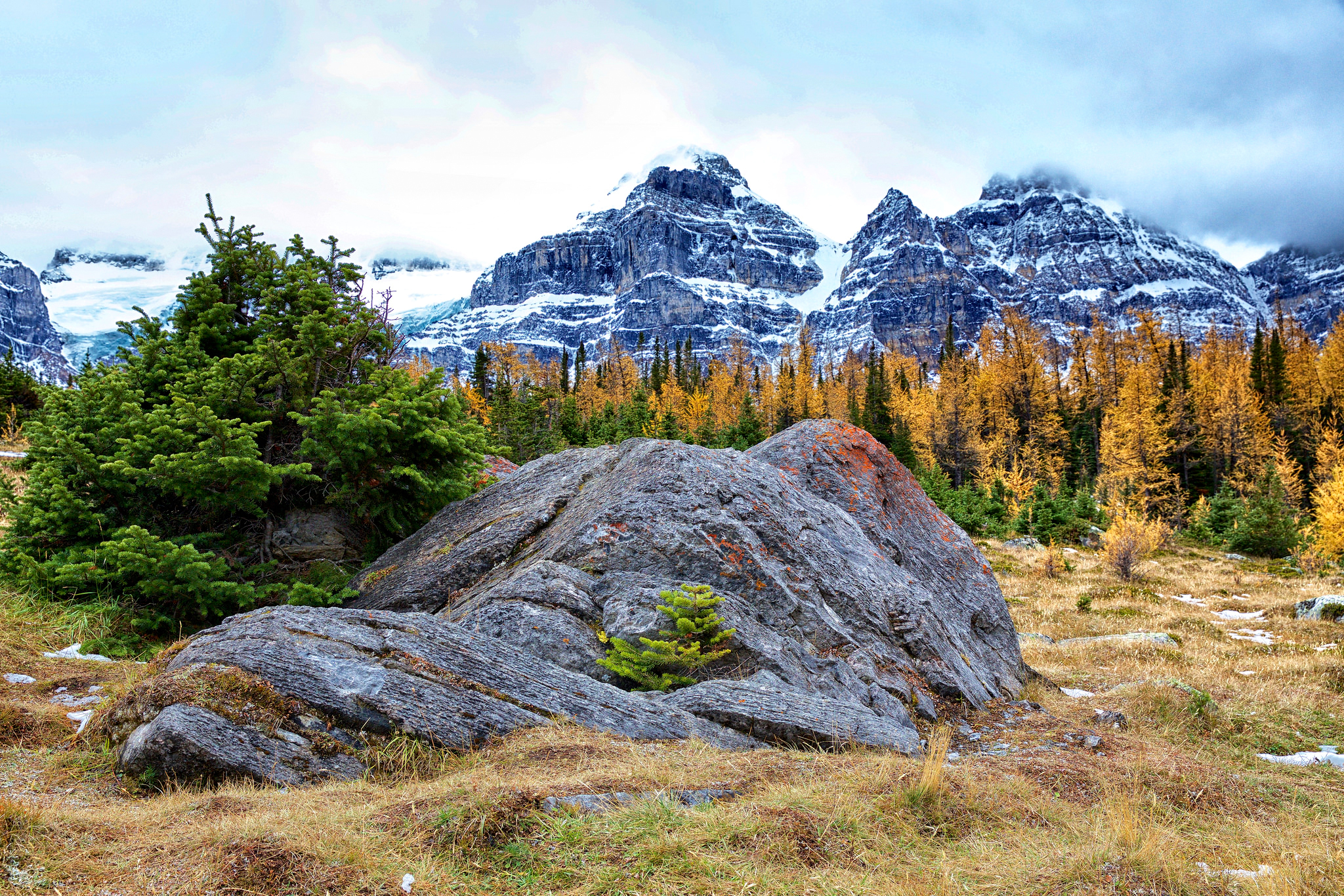 Téléchargez gratuitement l'image Montagnes, Montagne, Forêt, La Nature, Terre/nature sur le bureau de votre PC