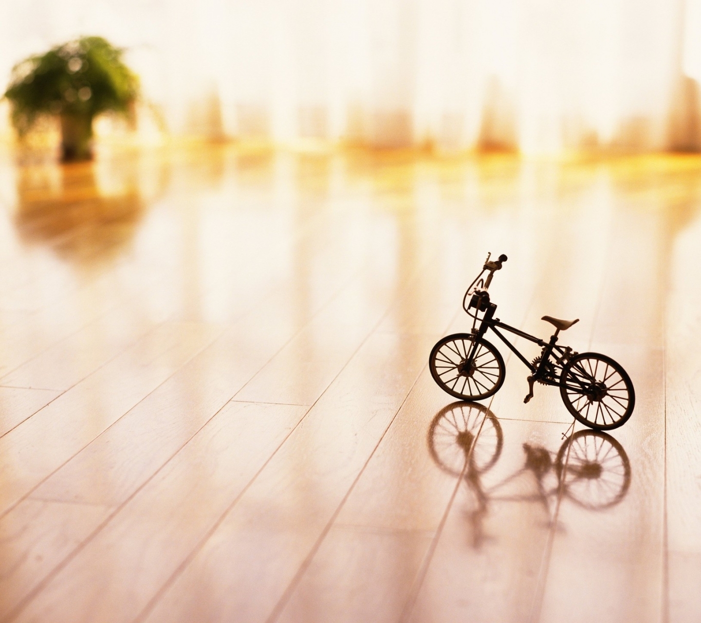 Descarga gratis la imagen Bicicleta, Cambio De Inclinación, Vehículos, Desenfocado en el escritorio de tu PC