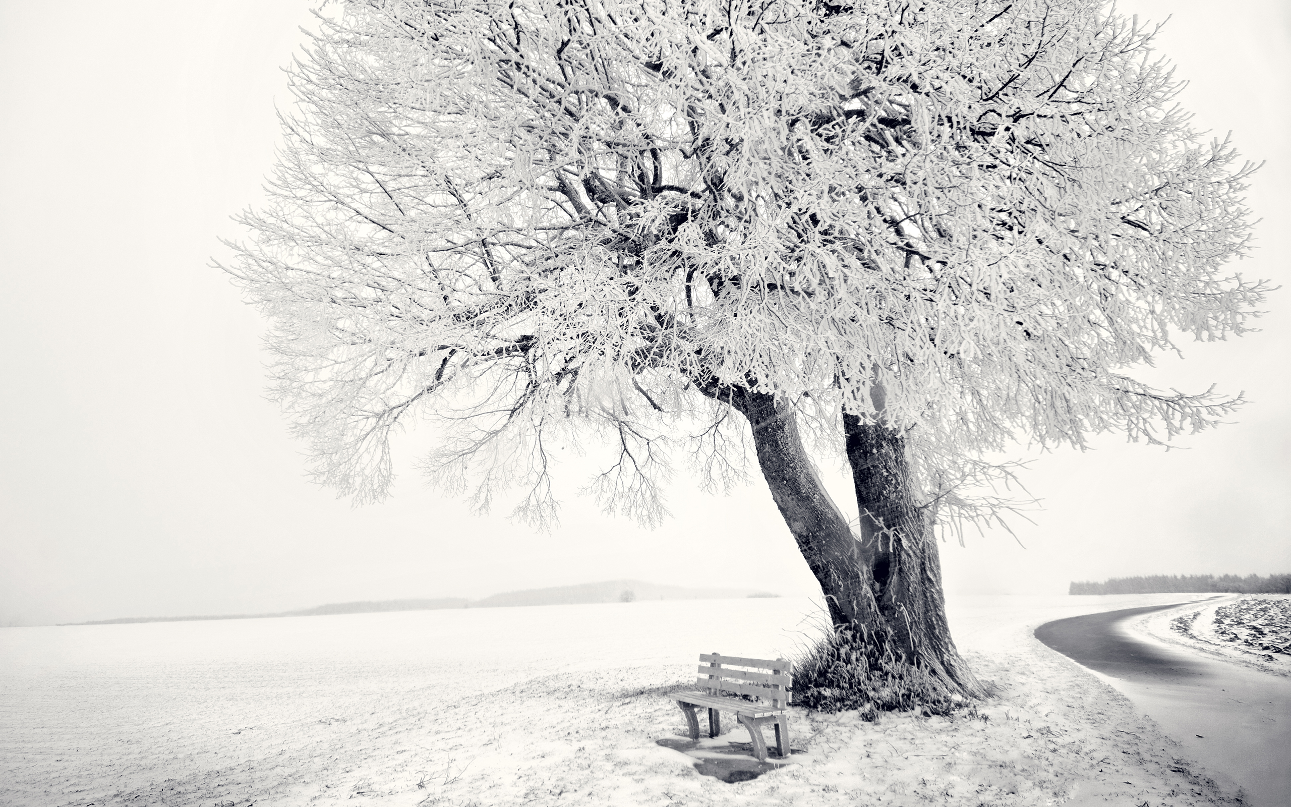 Download mobile wallpaper Winter, Photography for free.