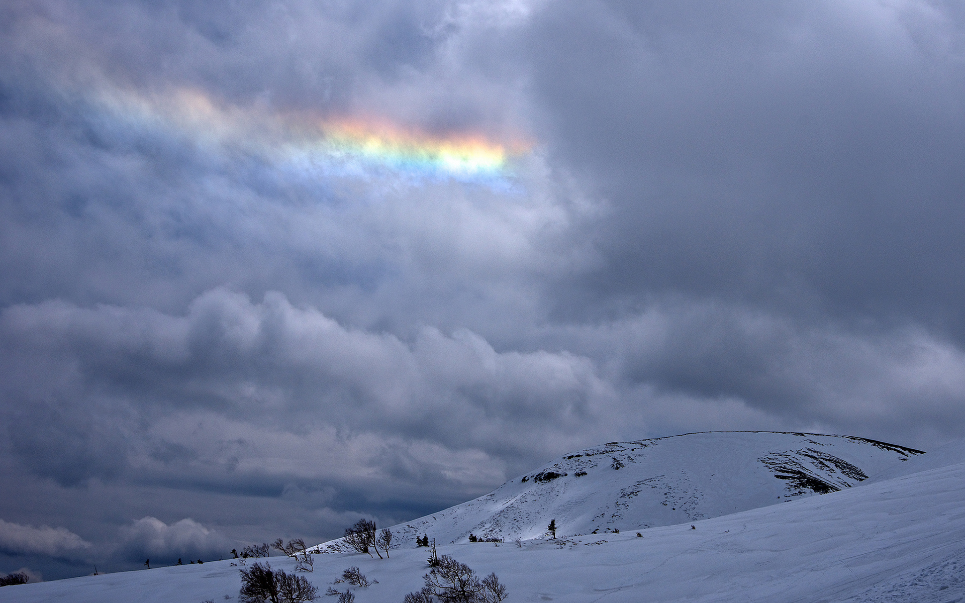 Download mobile wallpaper Winter, Snow, Rainbow, Mountain, Tree, Earth, Cloud for free.