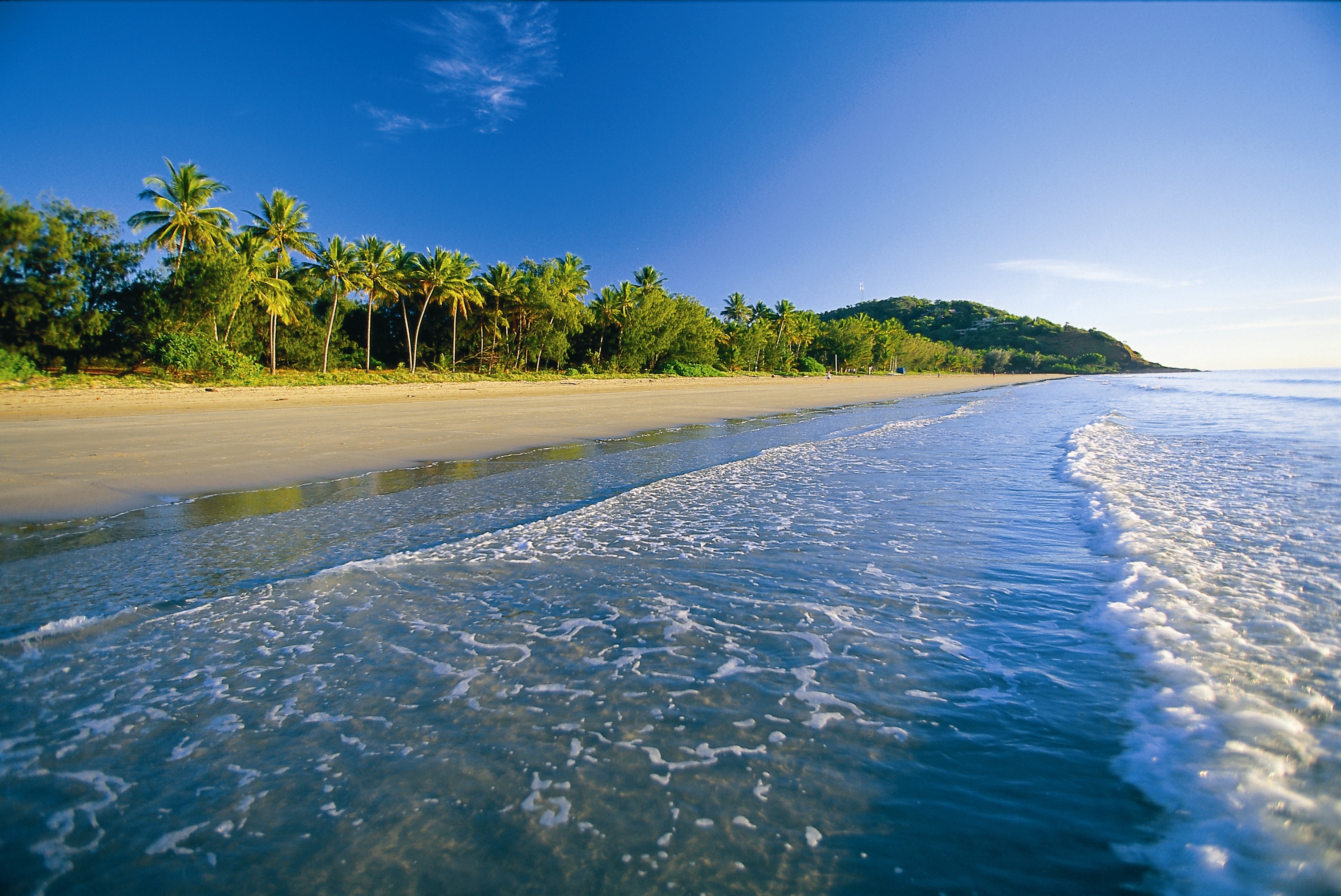 sea, nature, sand, beach, palms, foam, tropics Panoramic Wallpaper