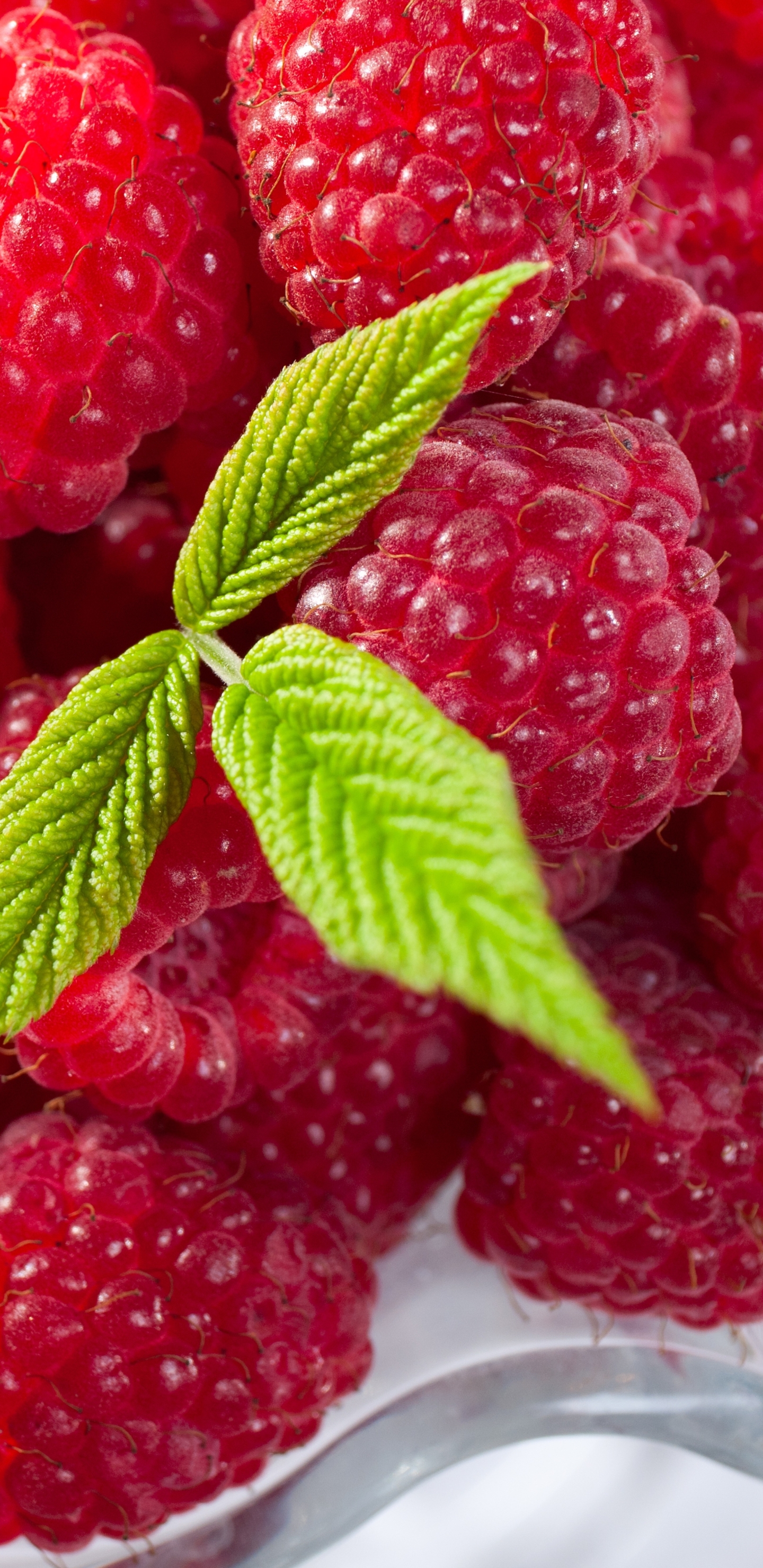 Download mobile wallpaper Fruits, Food, Raspberry, Fruit for free.