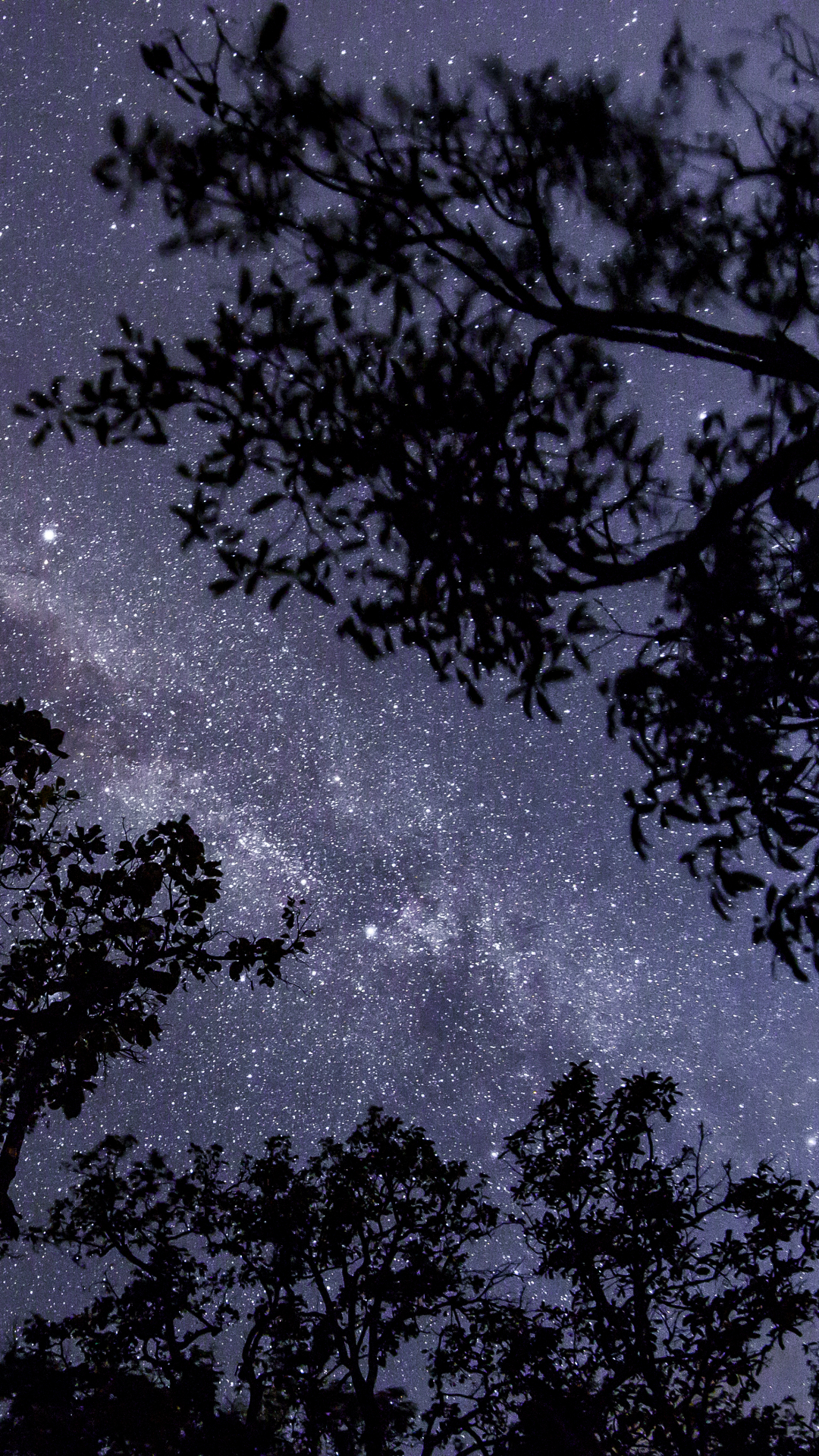 Download mobile wallpaper Stars, Tree, Starry Sky, Milky Way, Sci Fi for free.