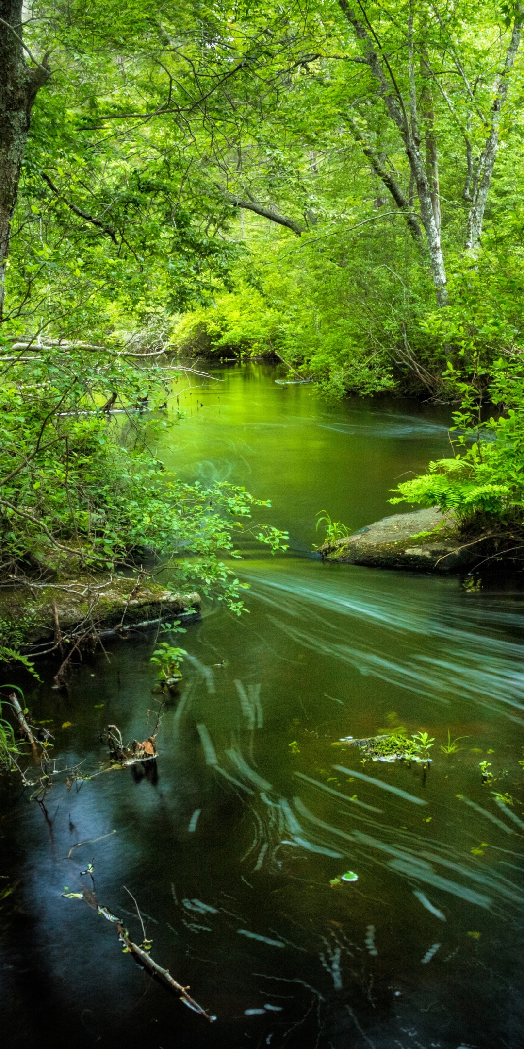 Скачать картинку Природа, Река, Зелень, Земля/природа в телефон бесплатно.