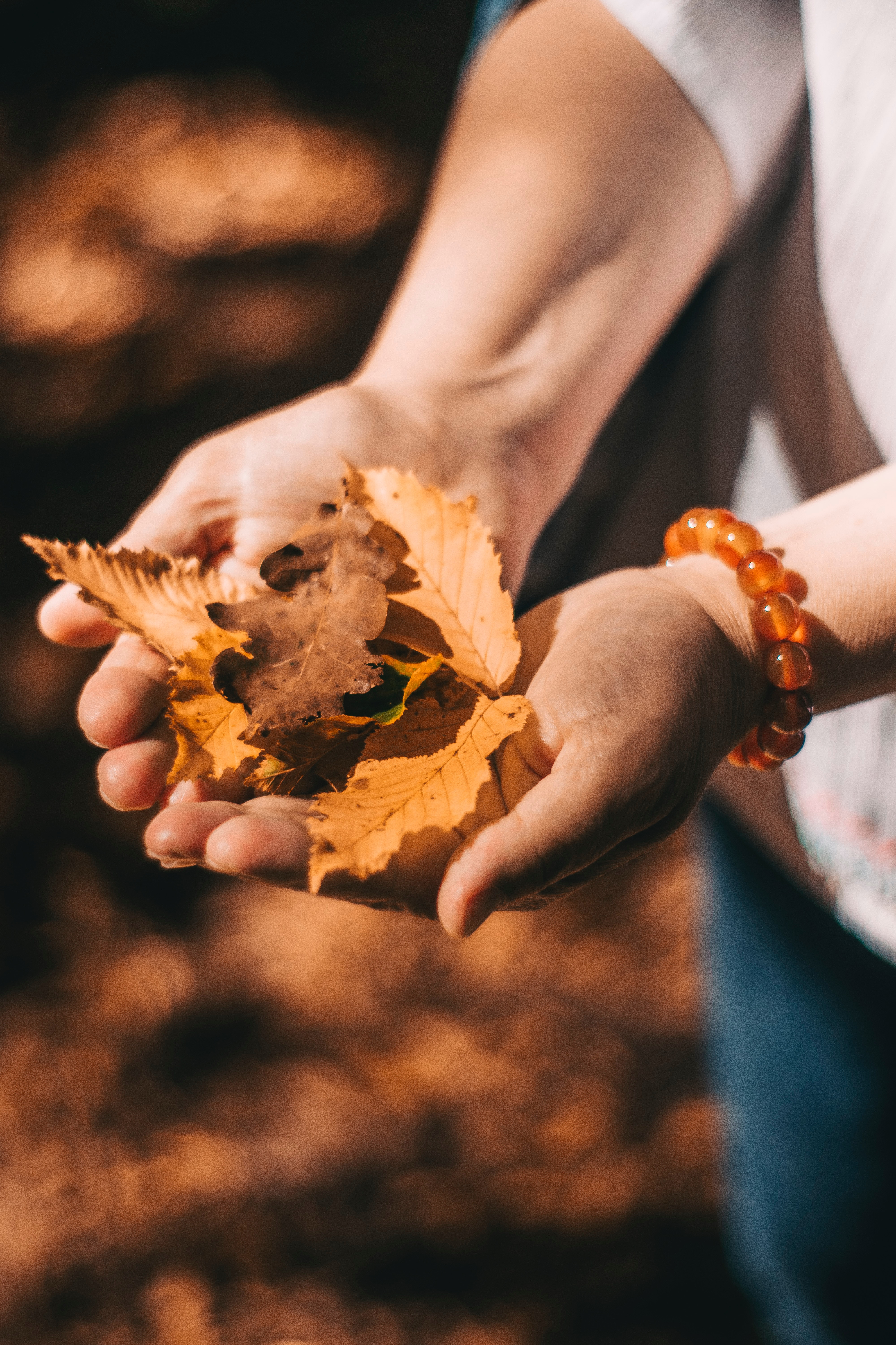 Download mobile wallpaper Miscellanea, Miscellaneous, Dry, Leaves, Hands, Autumn for free.
