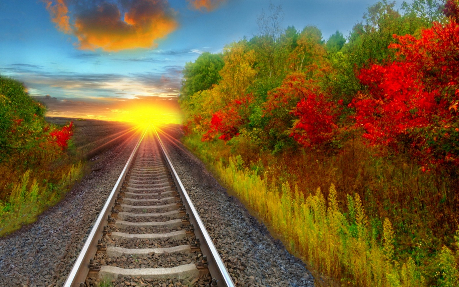 751941 baixar imagens ferrovia, outono, feito pelo homem, árvore - papéis de parede e protetores de tela gratuitamente