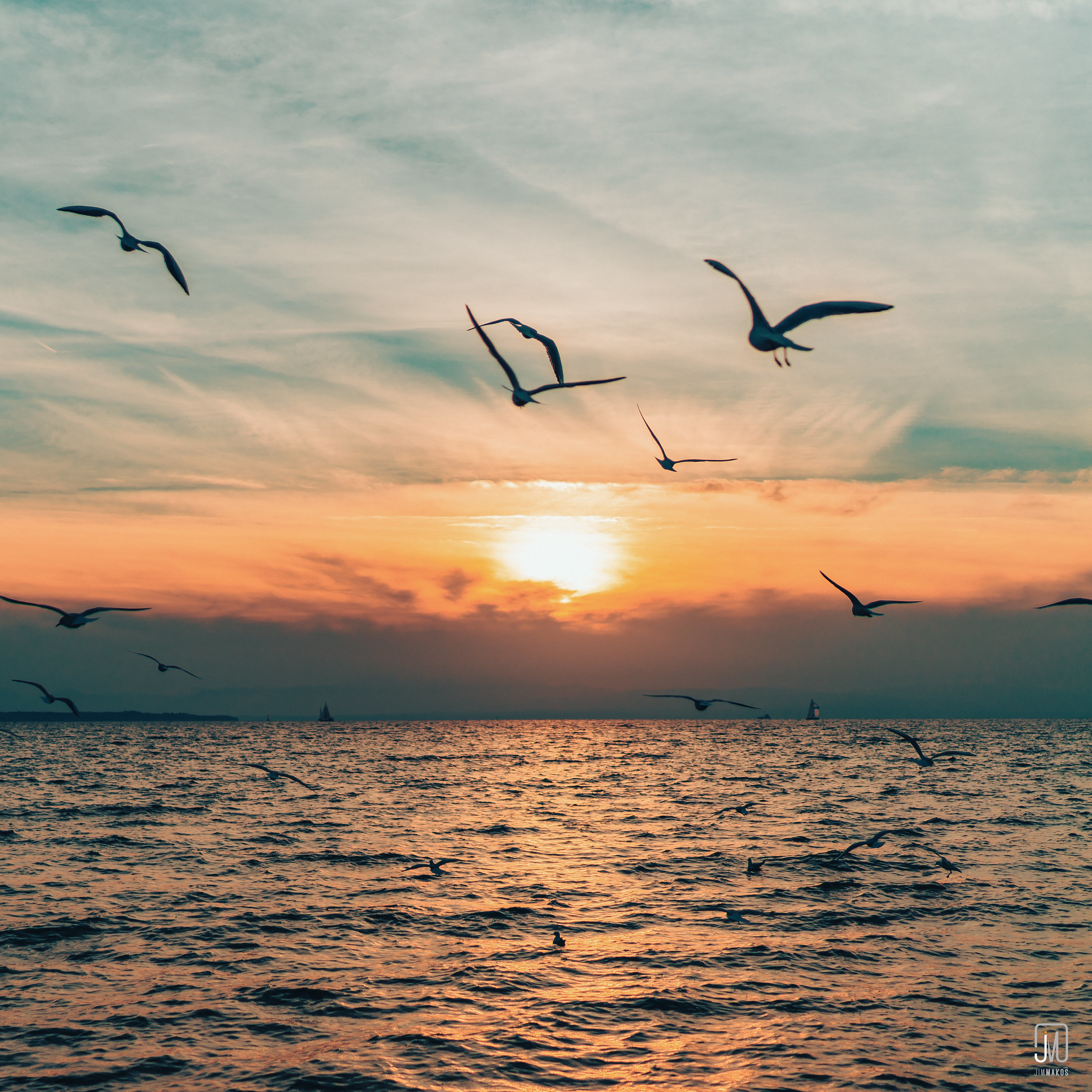 Download mobile wallpaper Sea, Sky, Horizon, Sun, Nature, Bird for free.