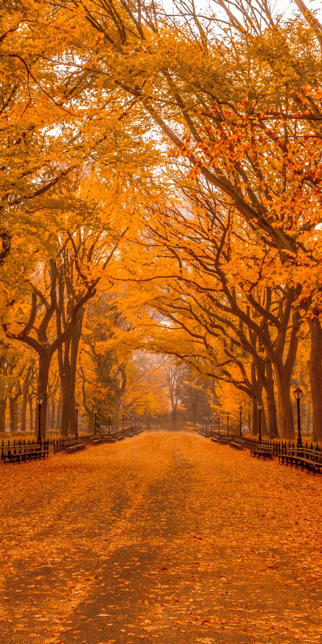 Download mobile wallpaper Park, Fall, New York, Central Park, Man Made for free.