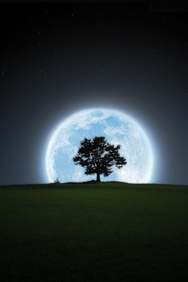 無料モバイル壁紙木, シルエット, 月, 地球, 夜をダウンロードします。